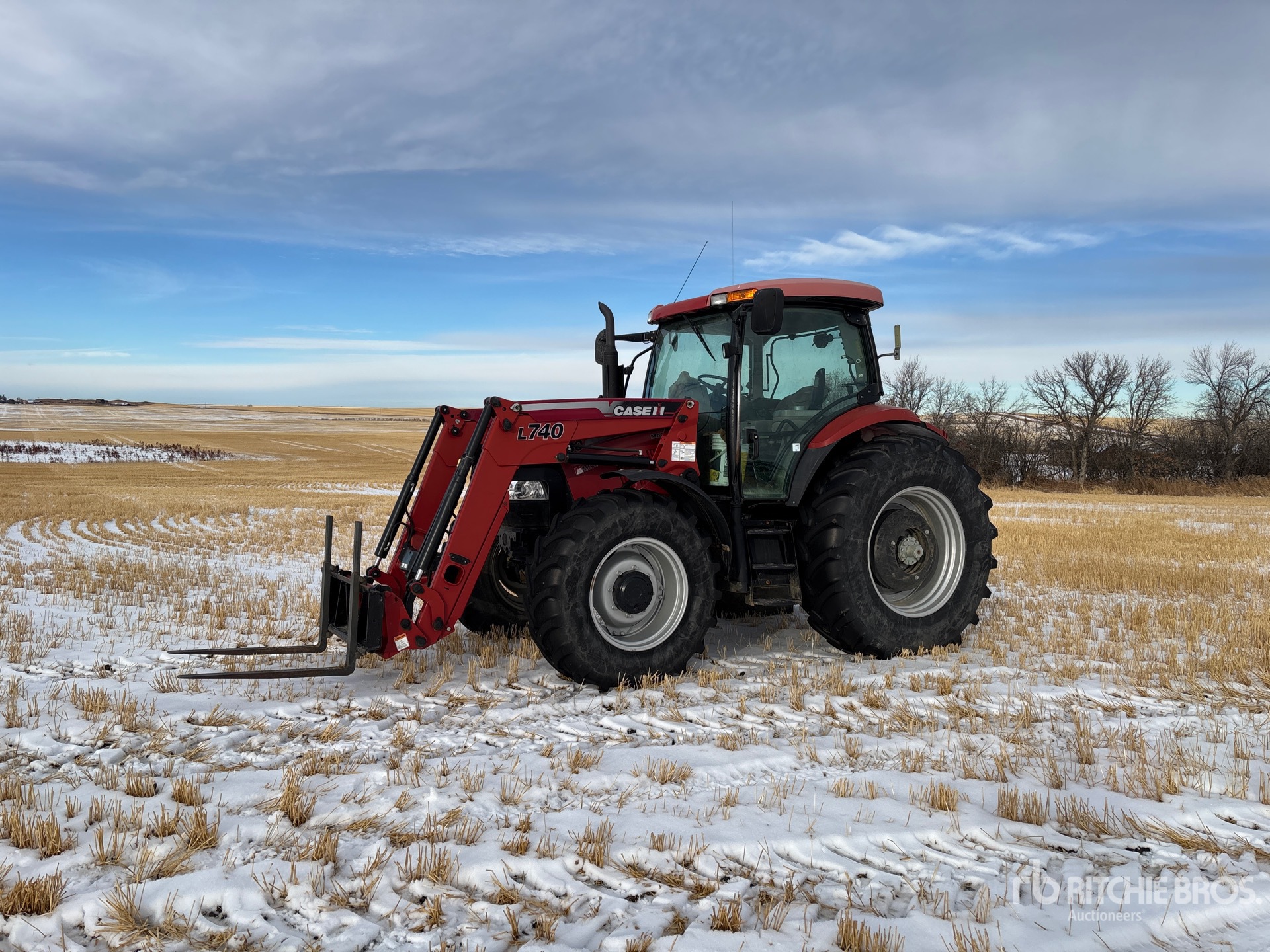 General Appearance with Spin