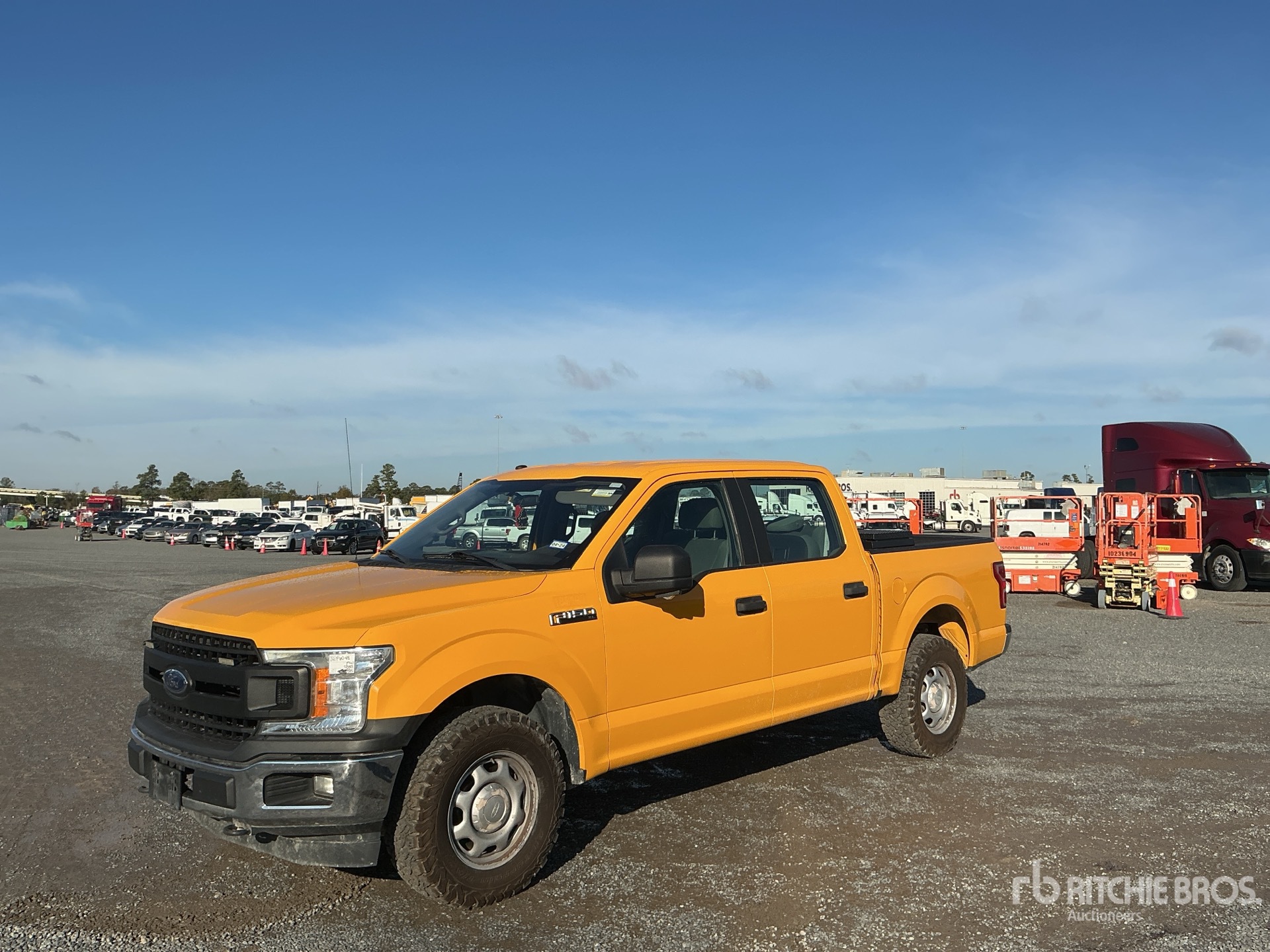 General Appearance with Spin