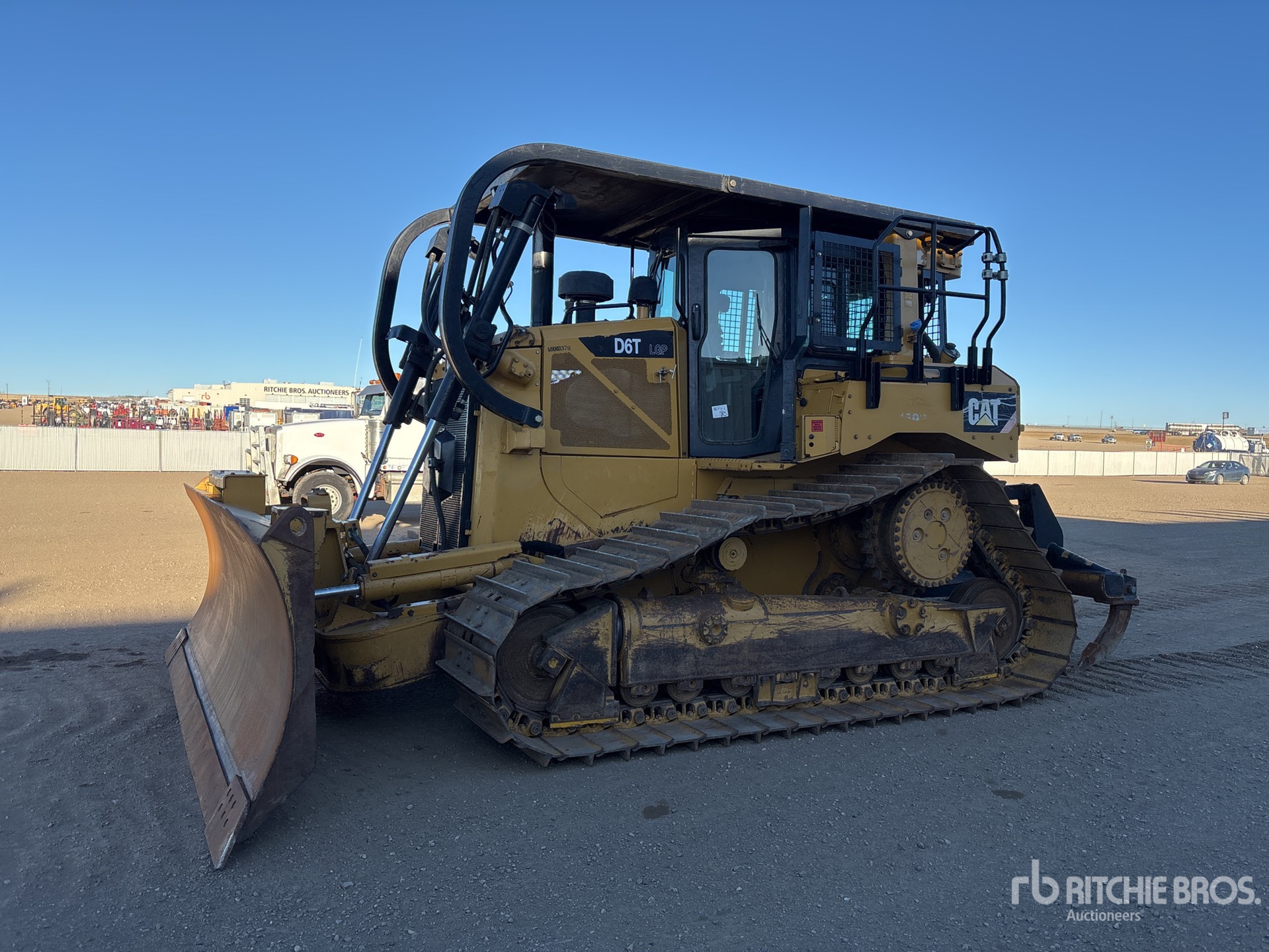 General Appearance with Spin