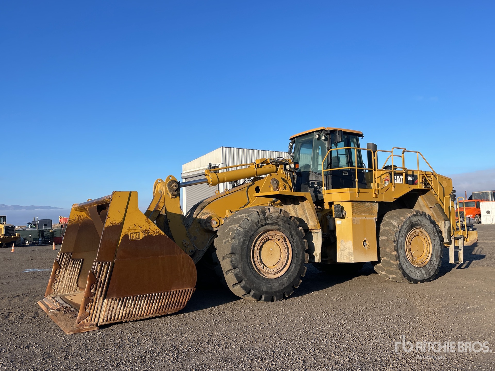 General Appearance with Spin