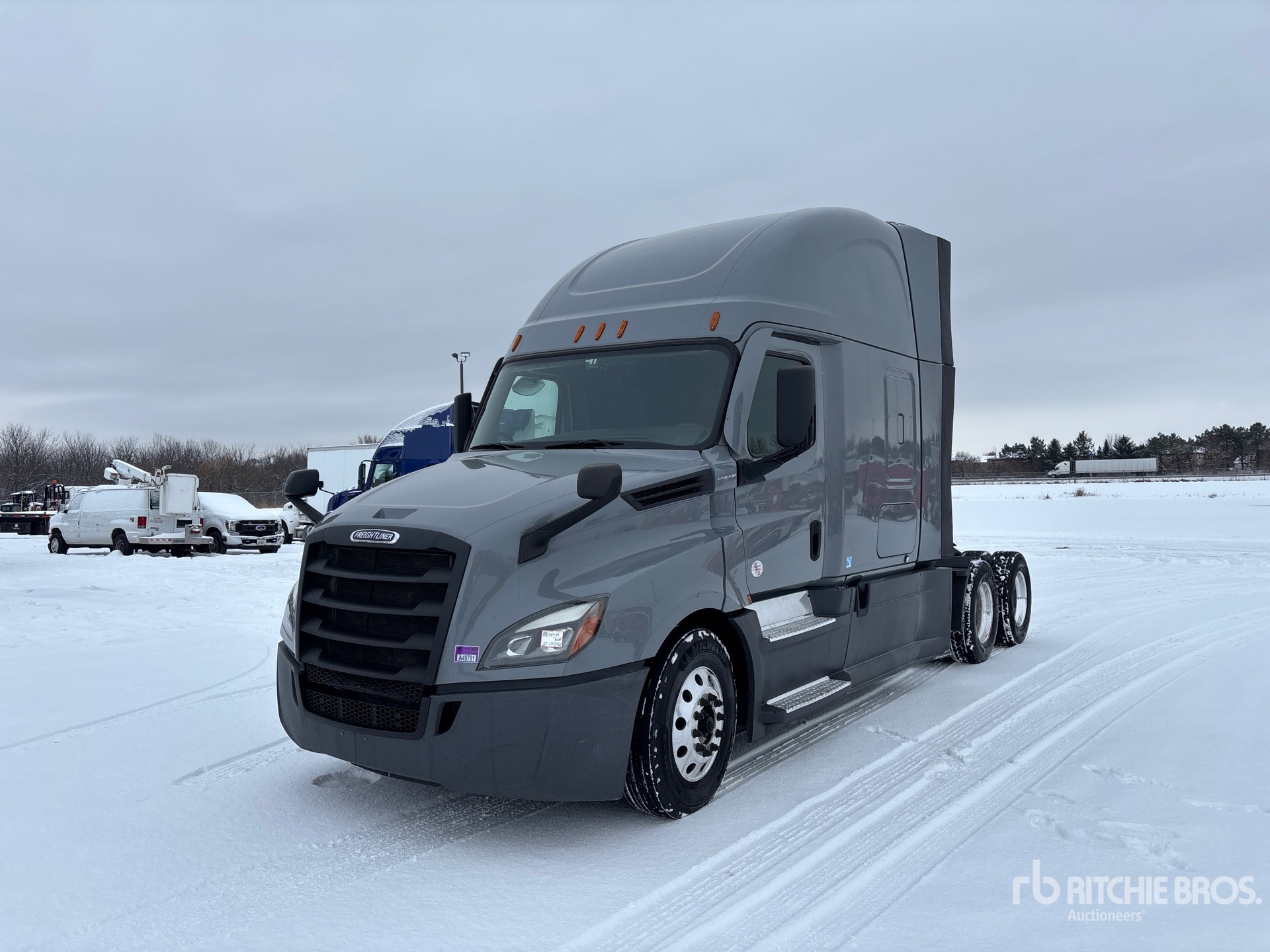 General Appearance with Spin