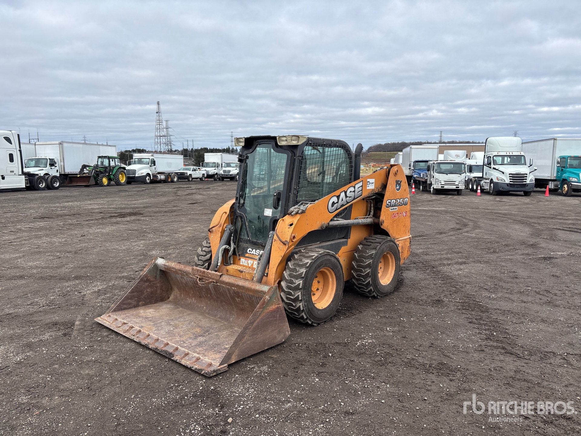 General Appearance with Spin