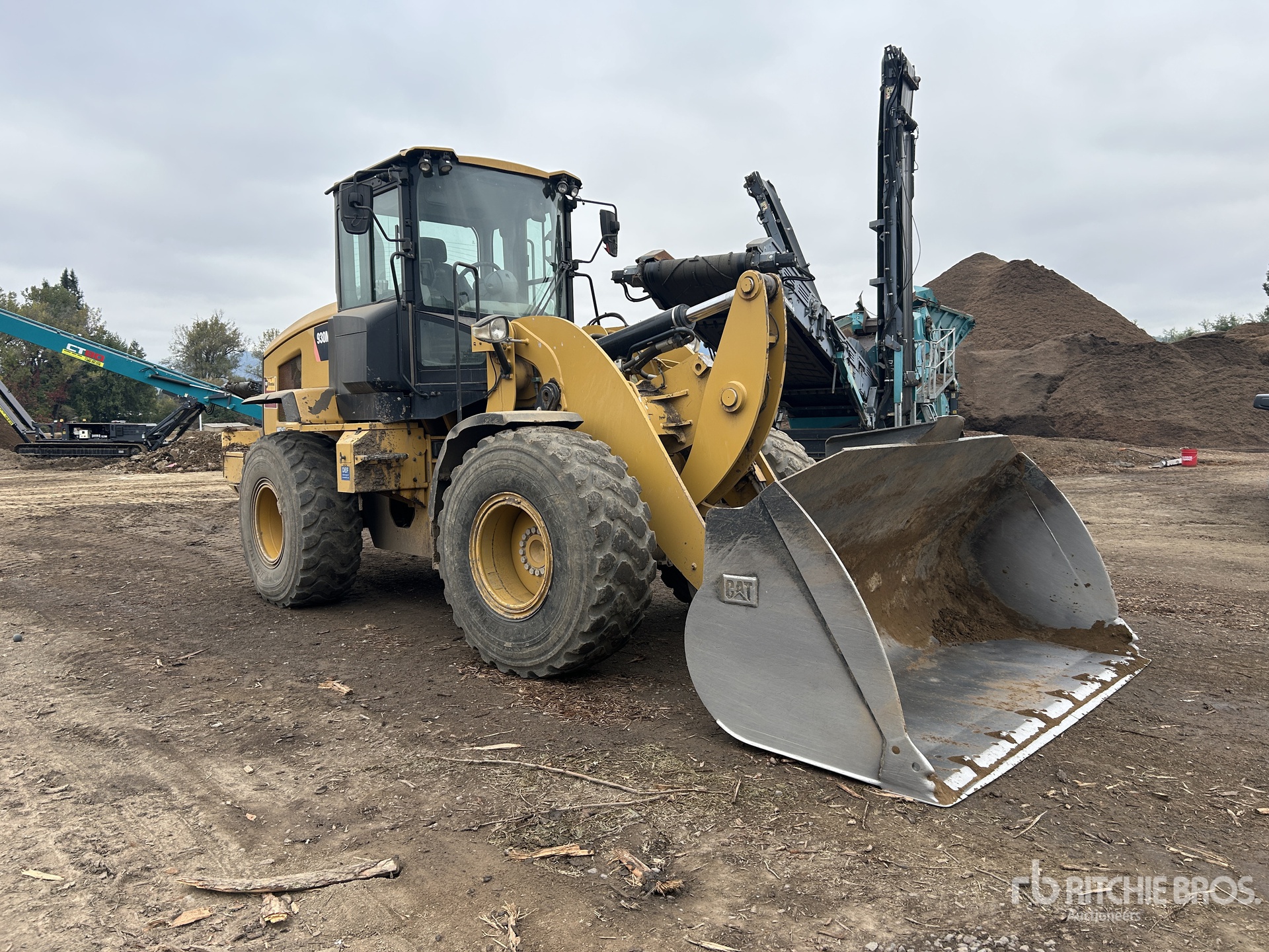 General Appearance with 