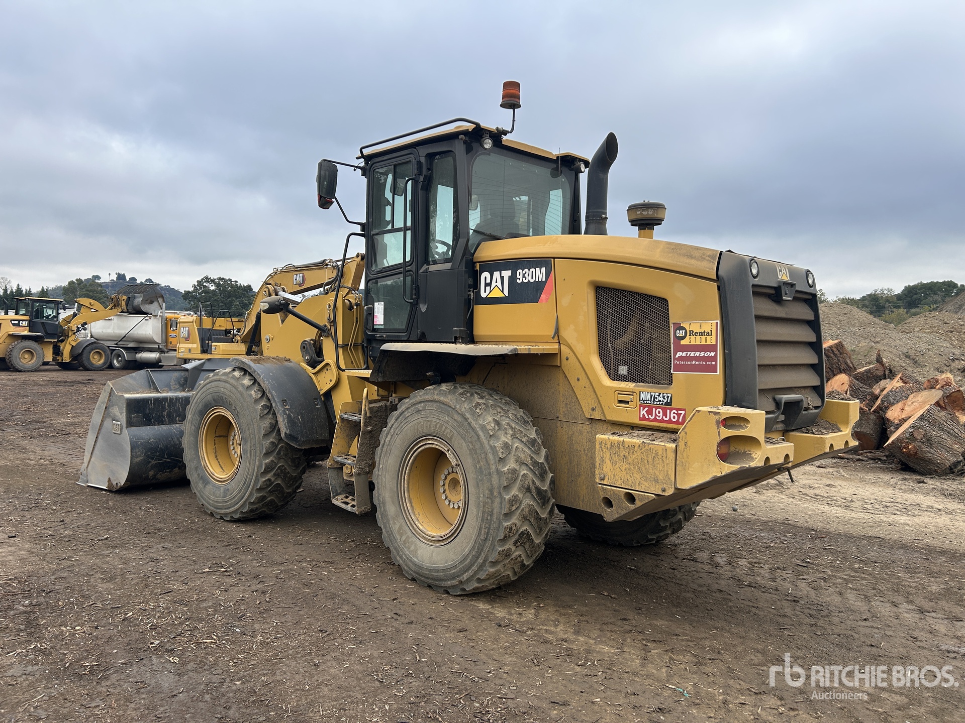 General Appearance with 