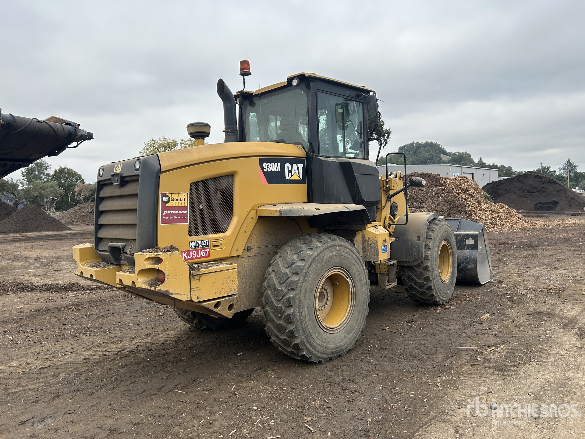 General Appearance with 