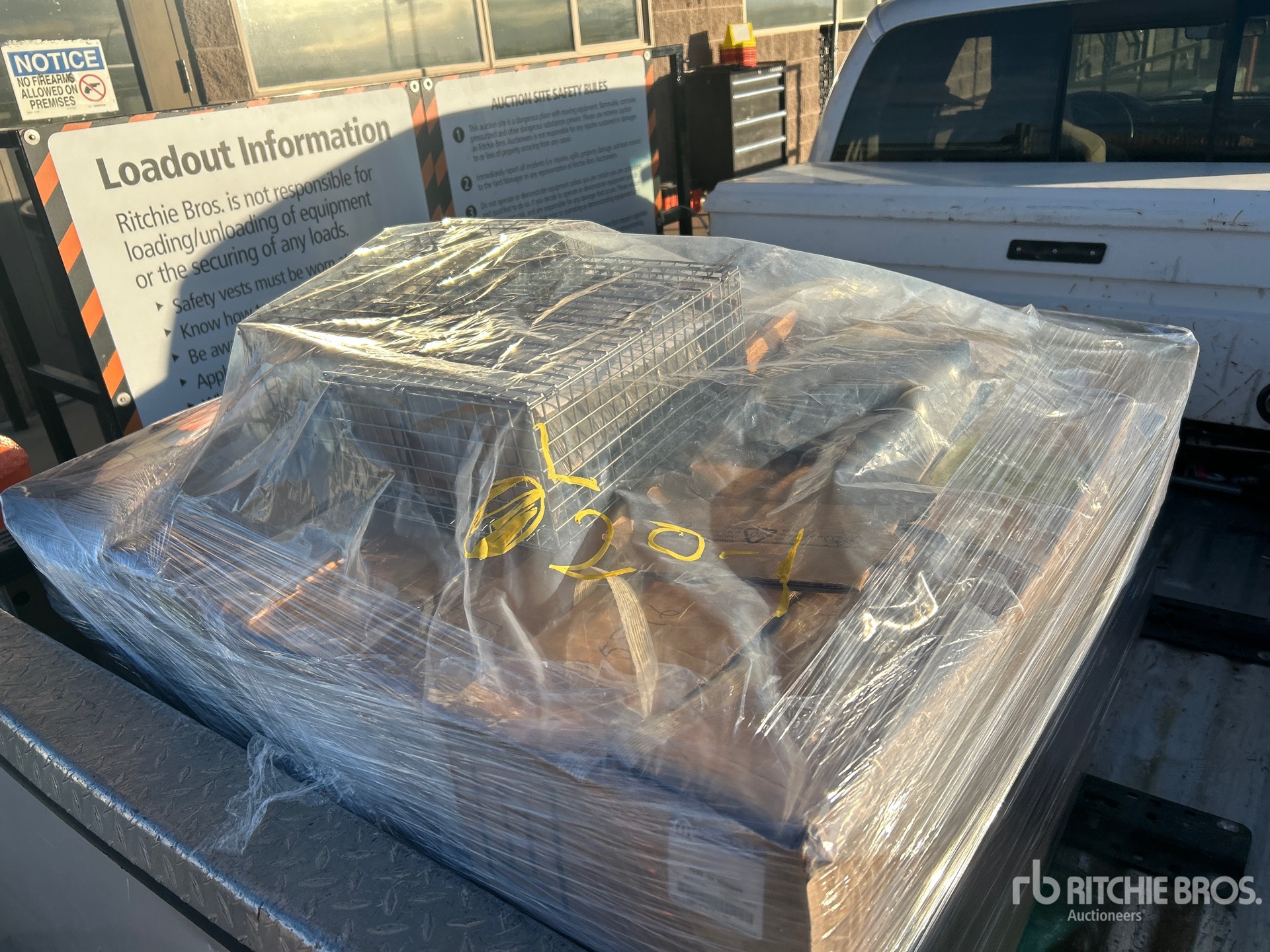 General Appearance with 