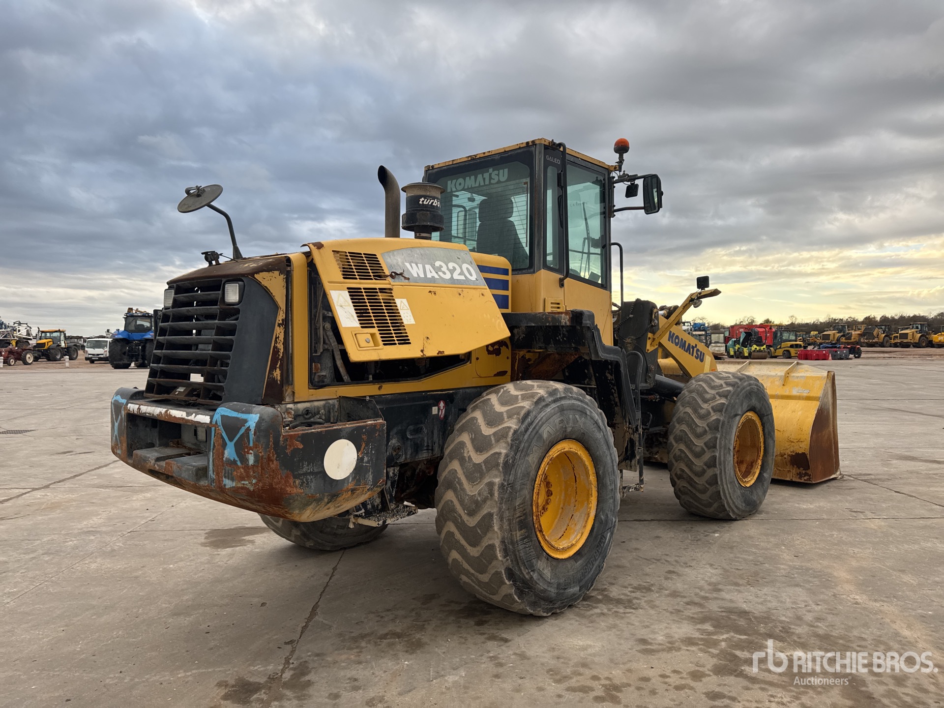 General Appearance with