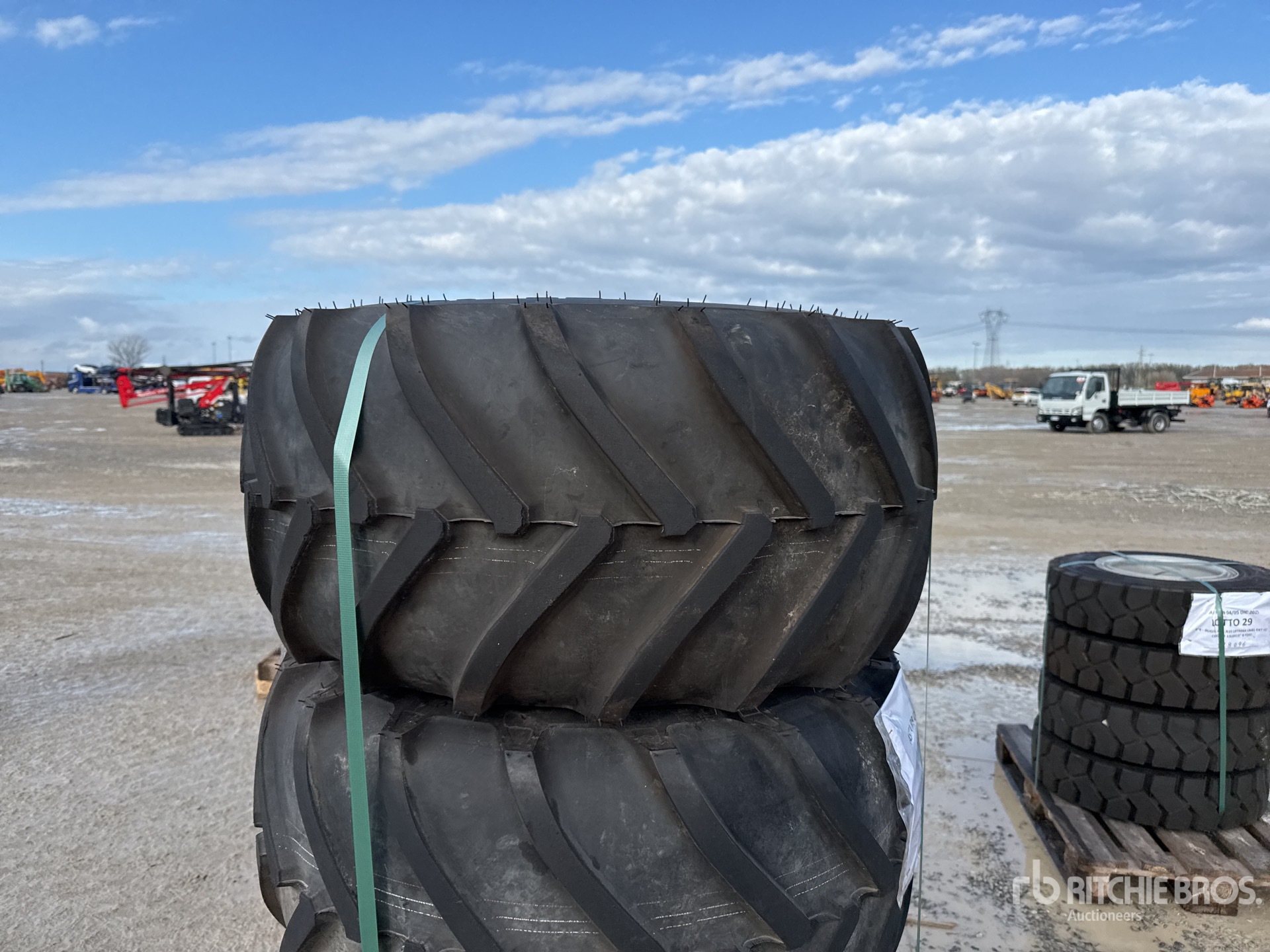 General Appearance with 