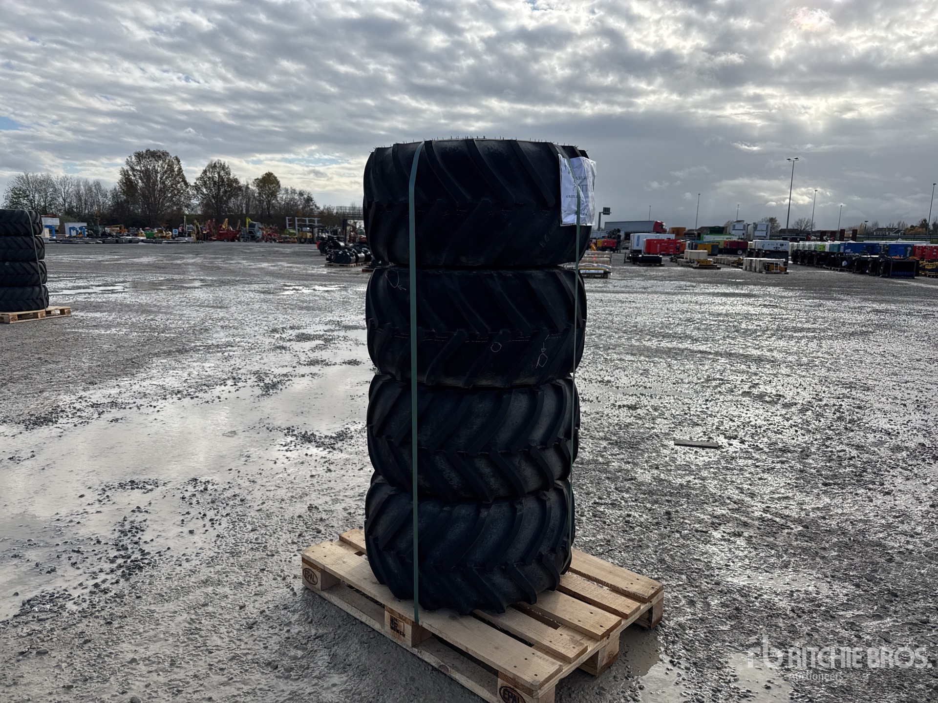 General Appearance with 