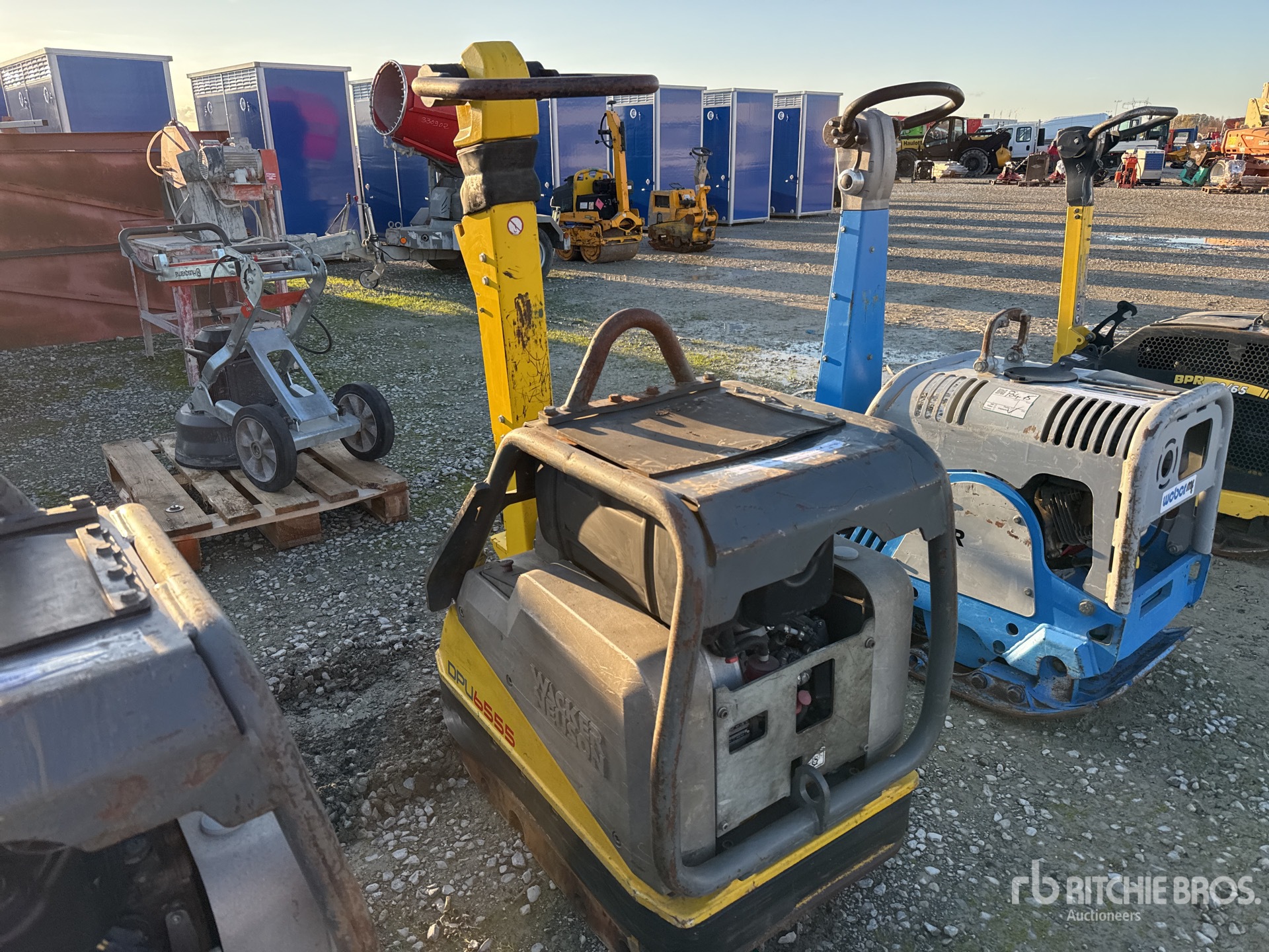 General Appearance with 