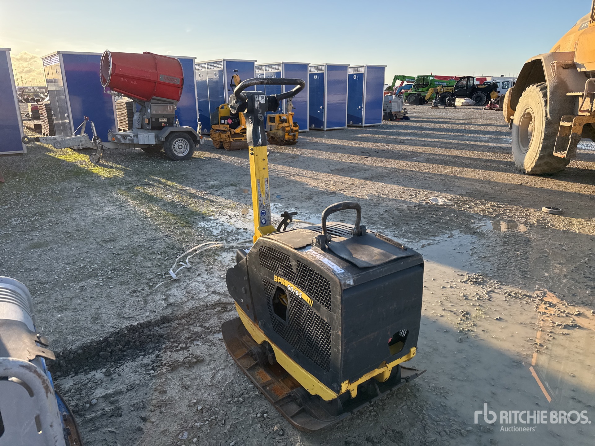 General Appearance with 