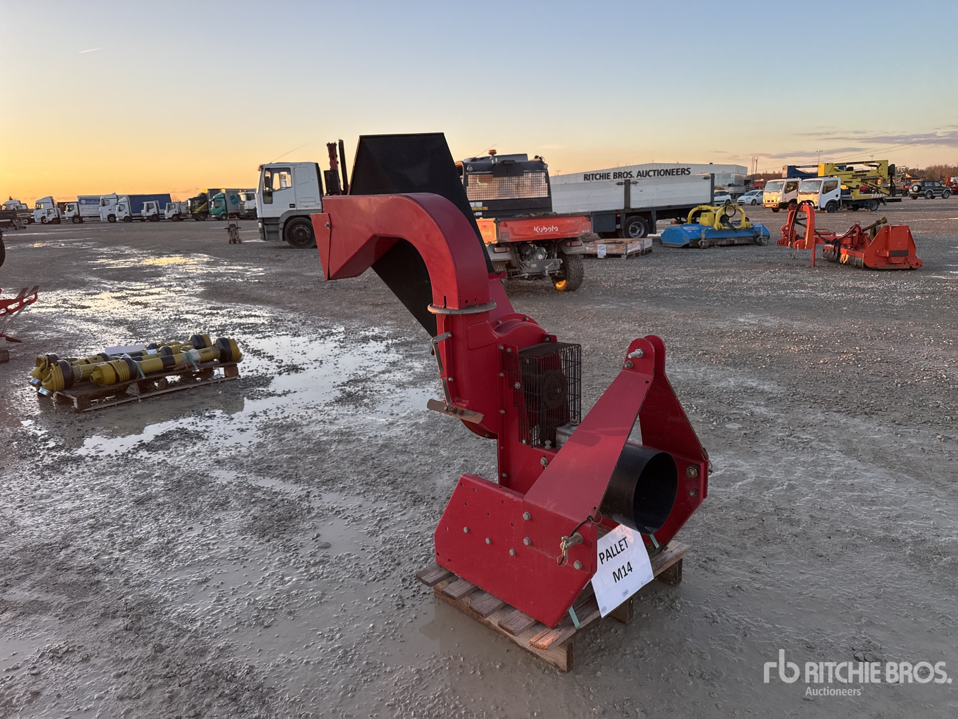 General Appearance with 