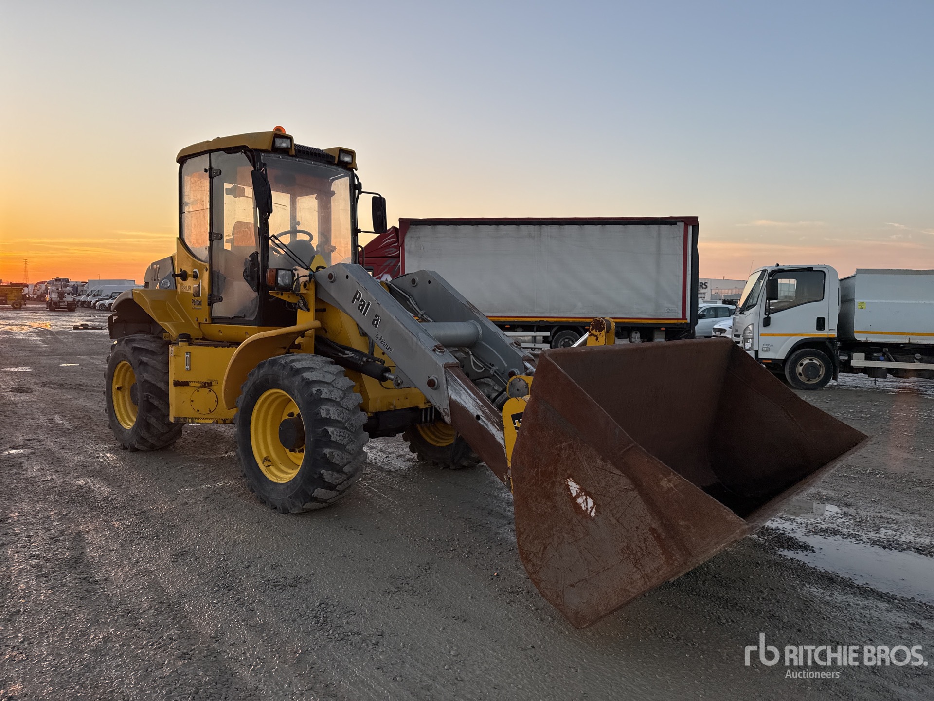 General Appearance with 