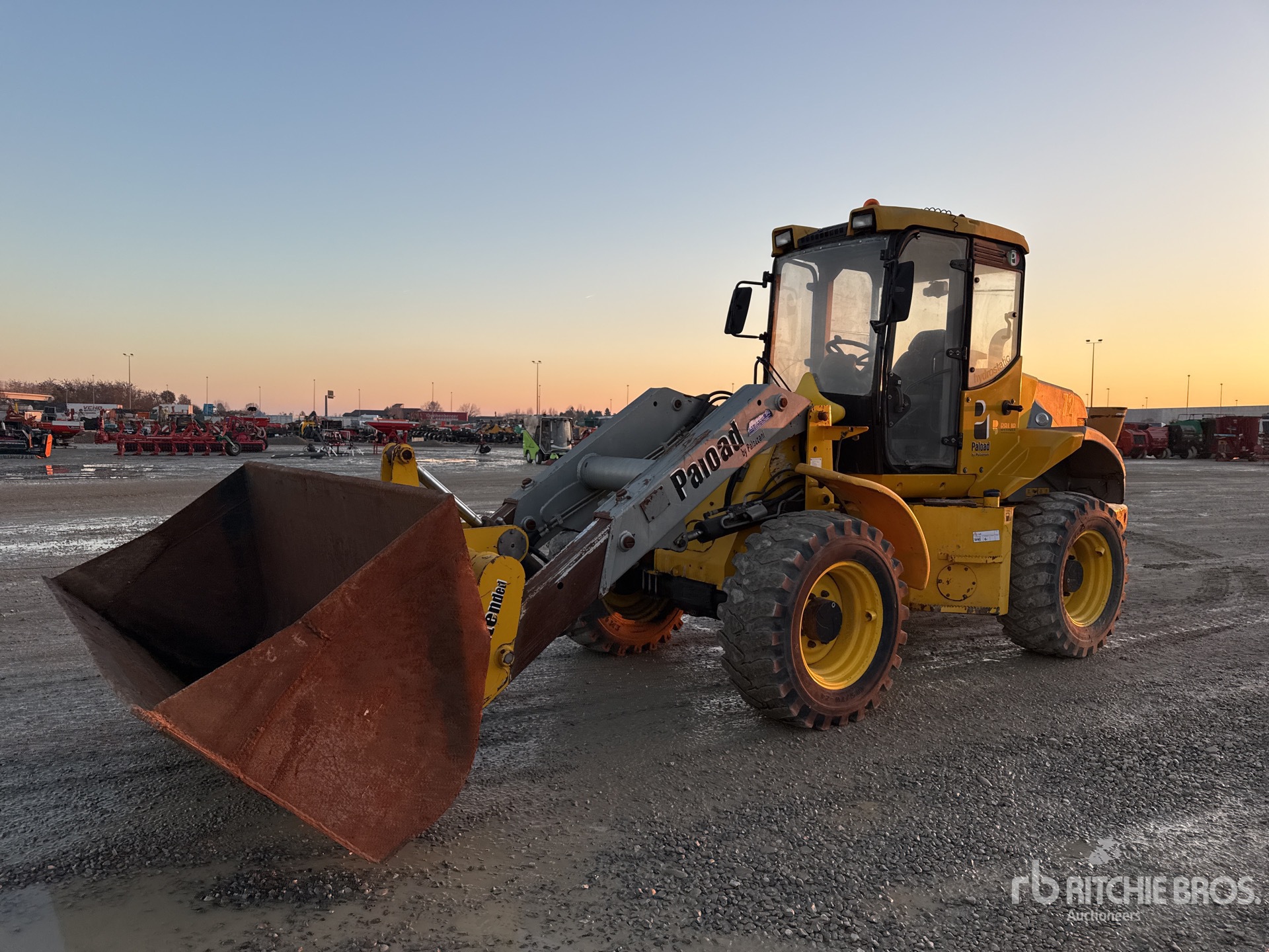 General Appearance with 