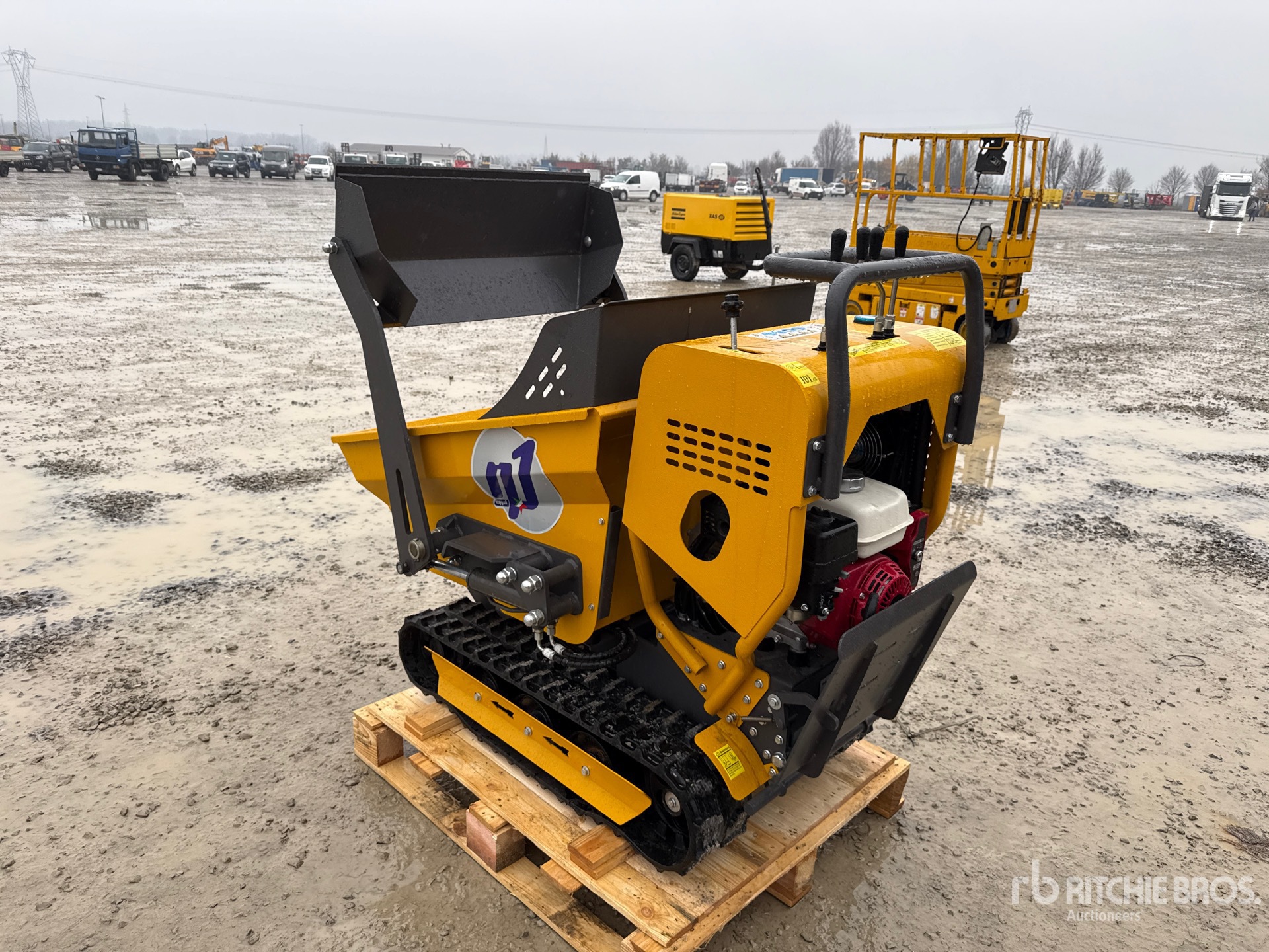 General Appearance with 