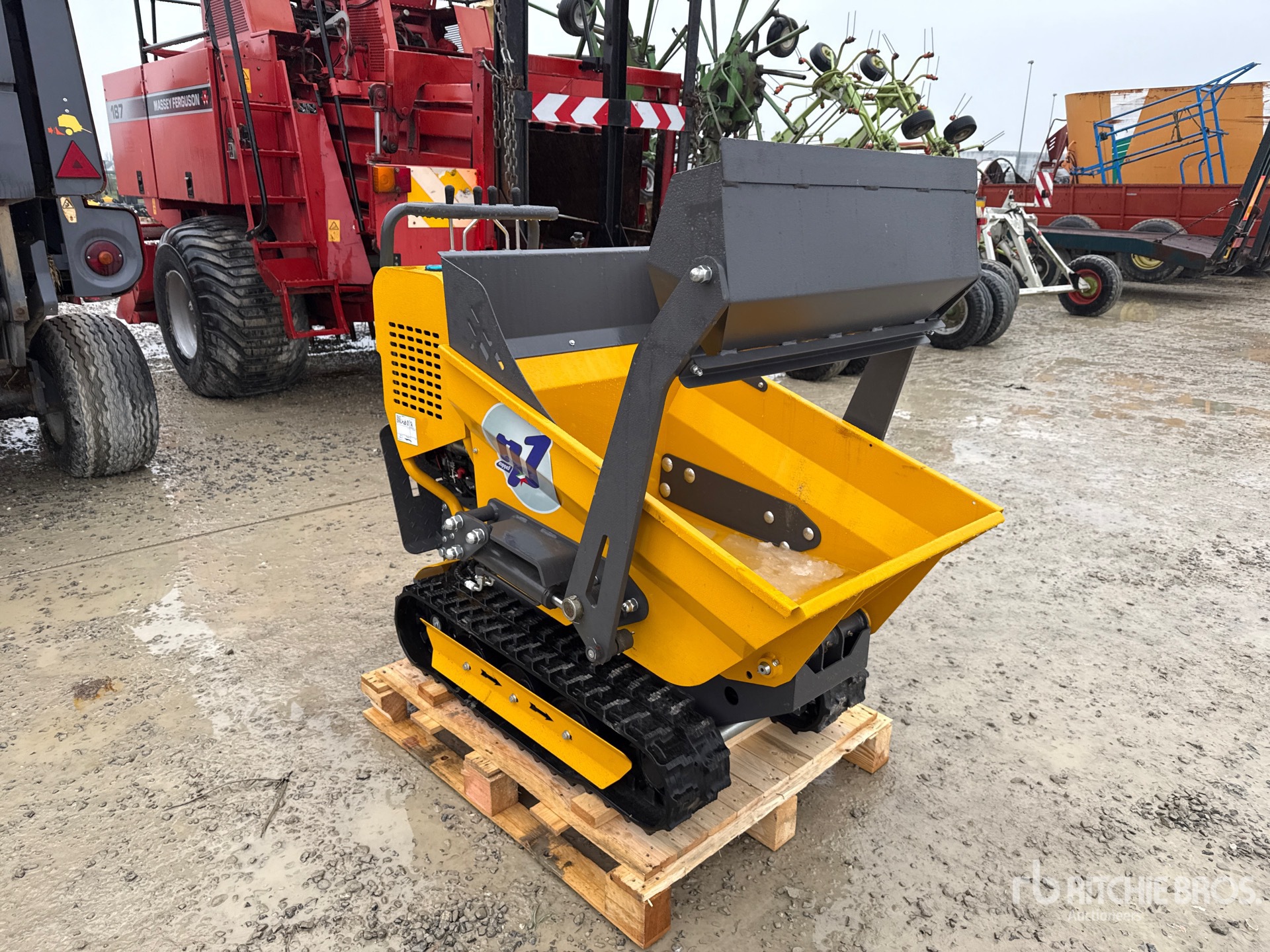 General Appearance with 