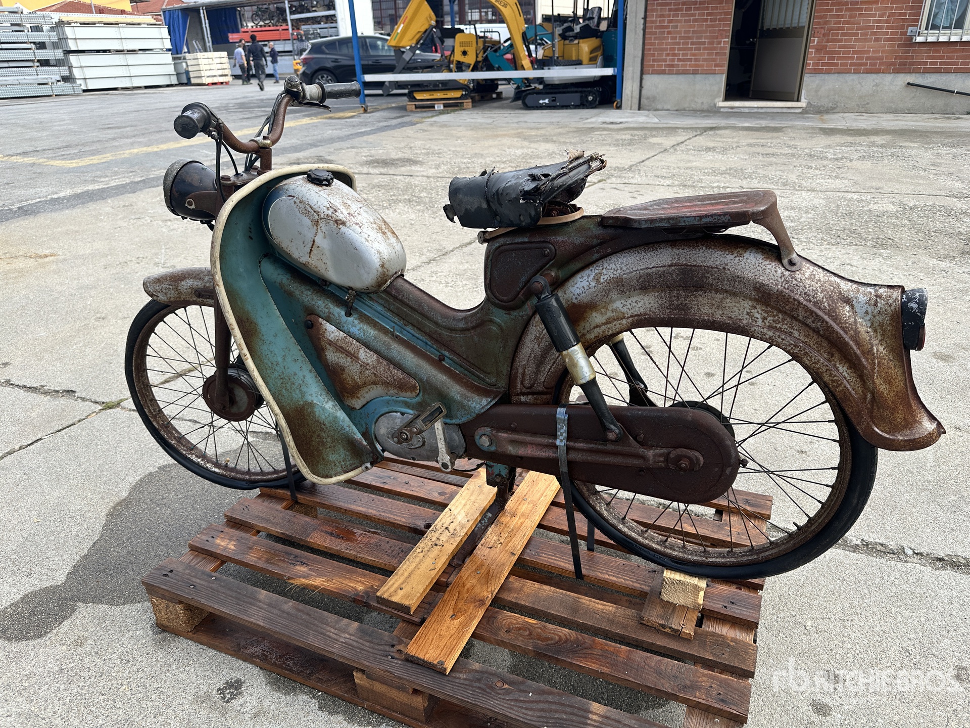 General Appearance with 