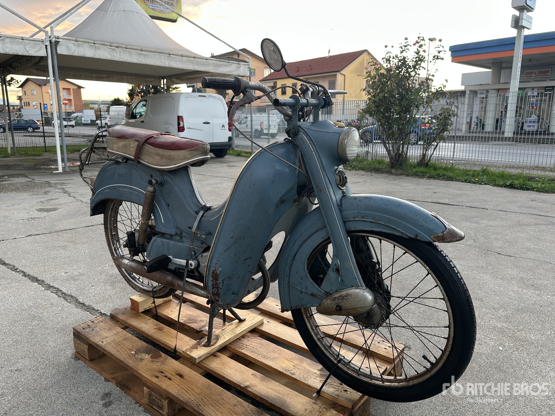 General Appearance with 