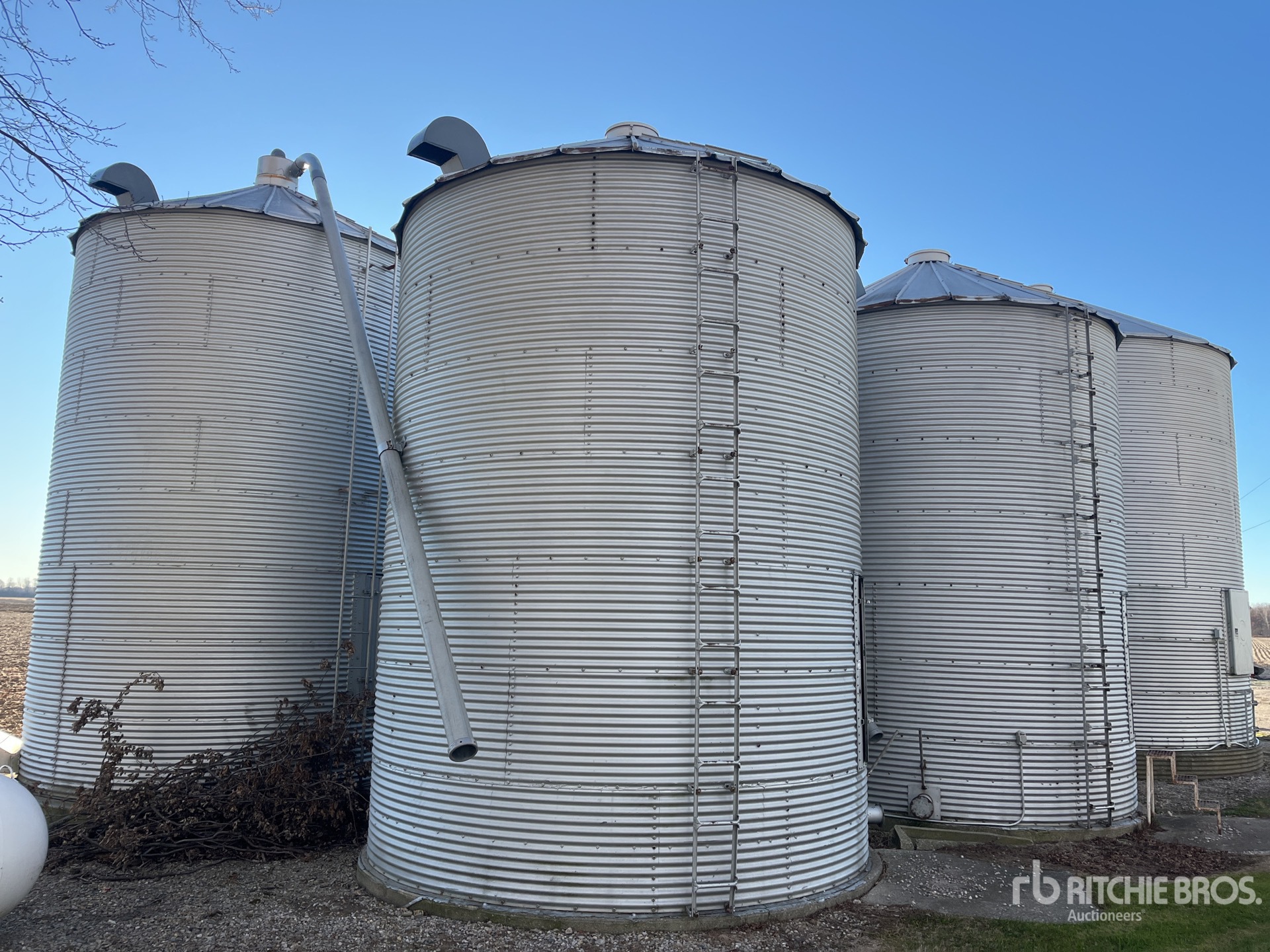 Aspect général with Image, coin arrière gauche