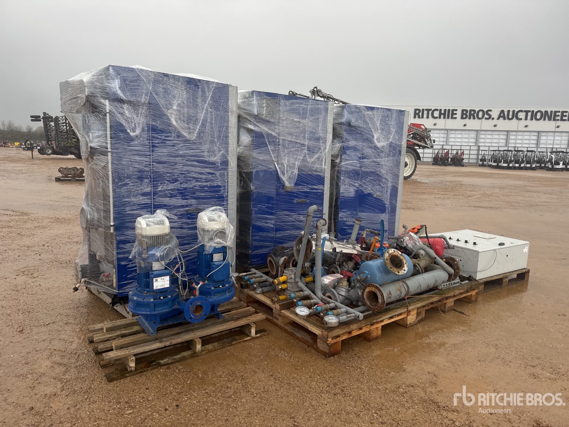 General Appearance with 