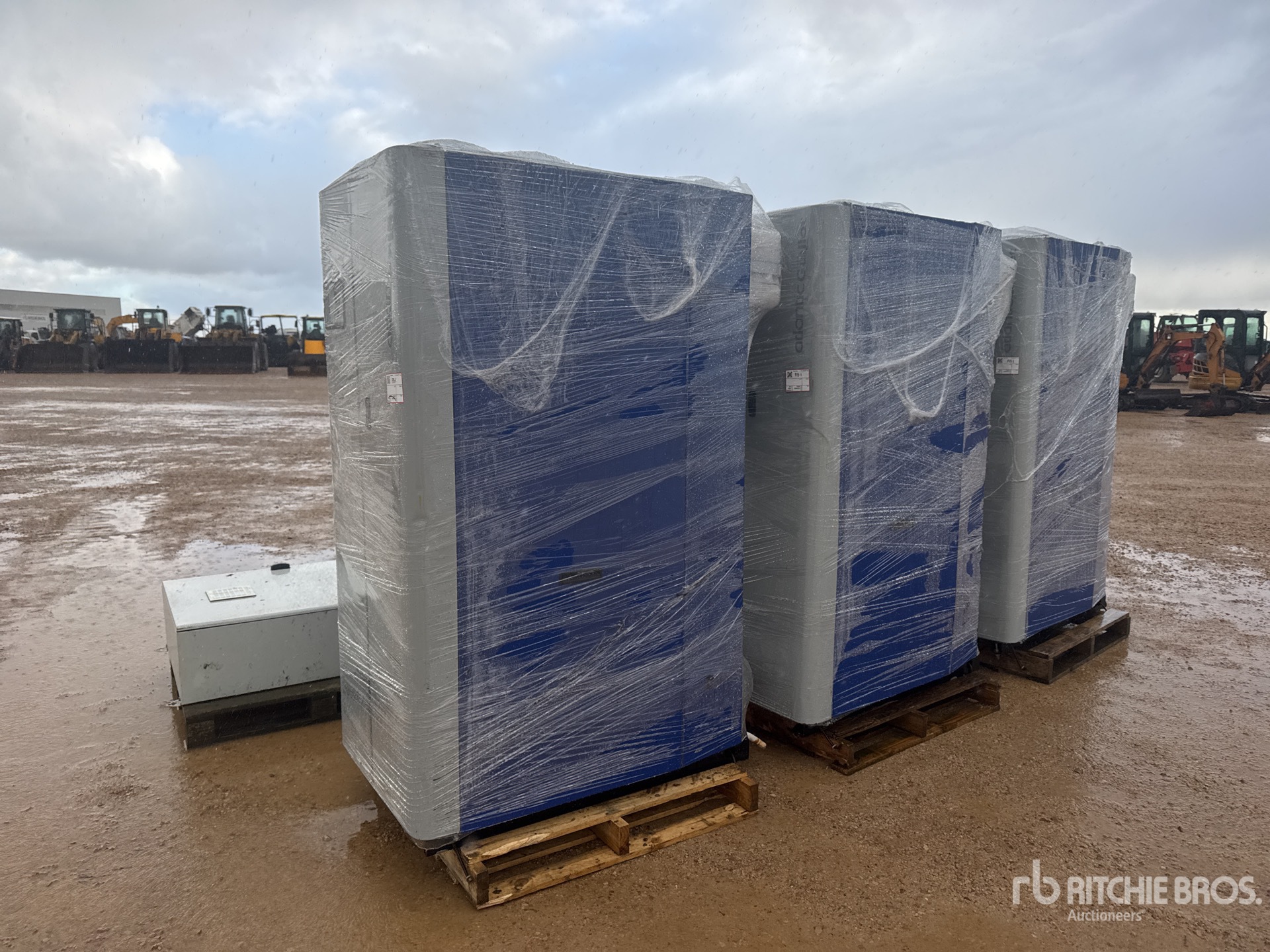 General Appearance with 