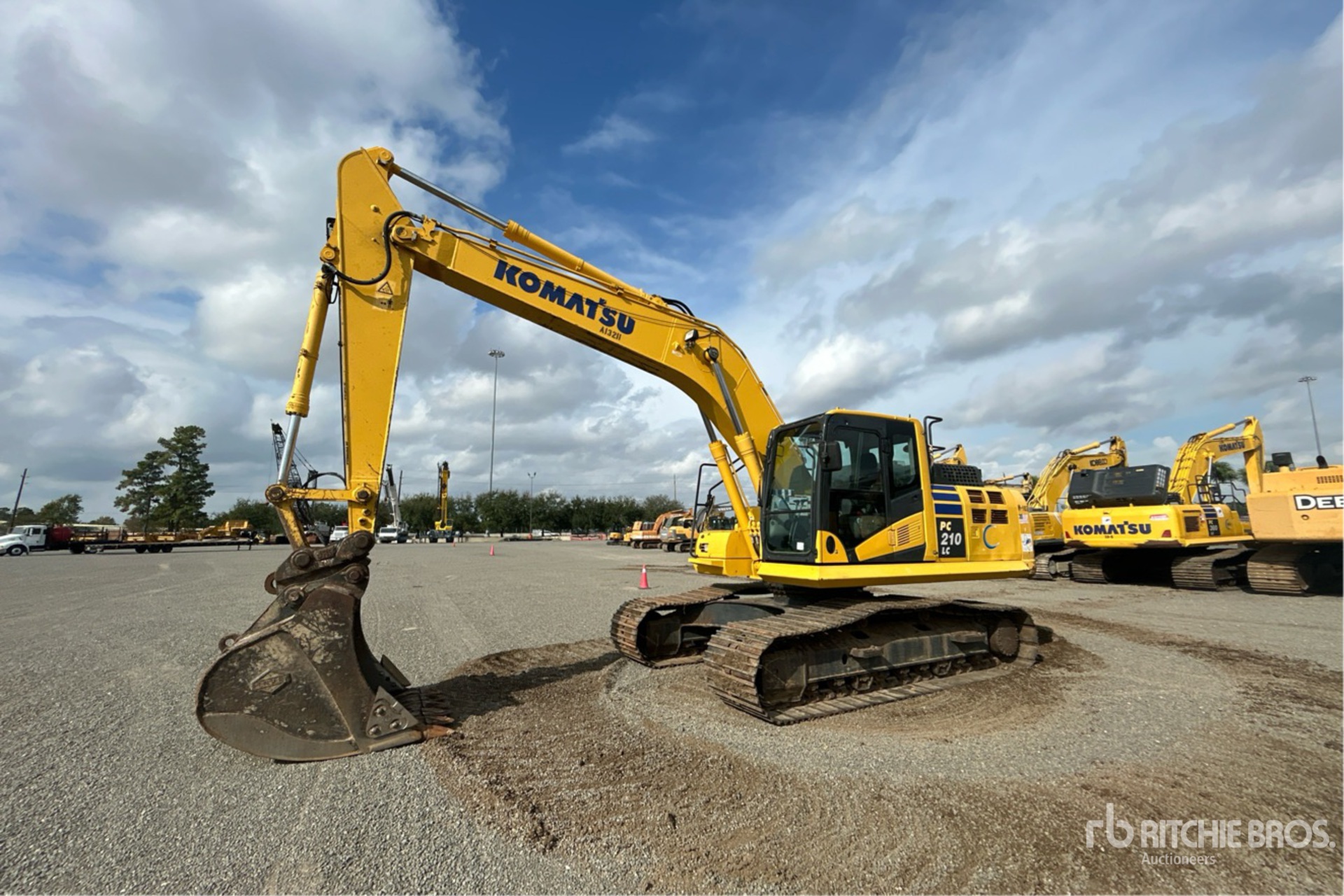 General Appearance with Spin