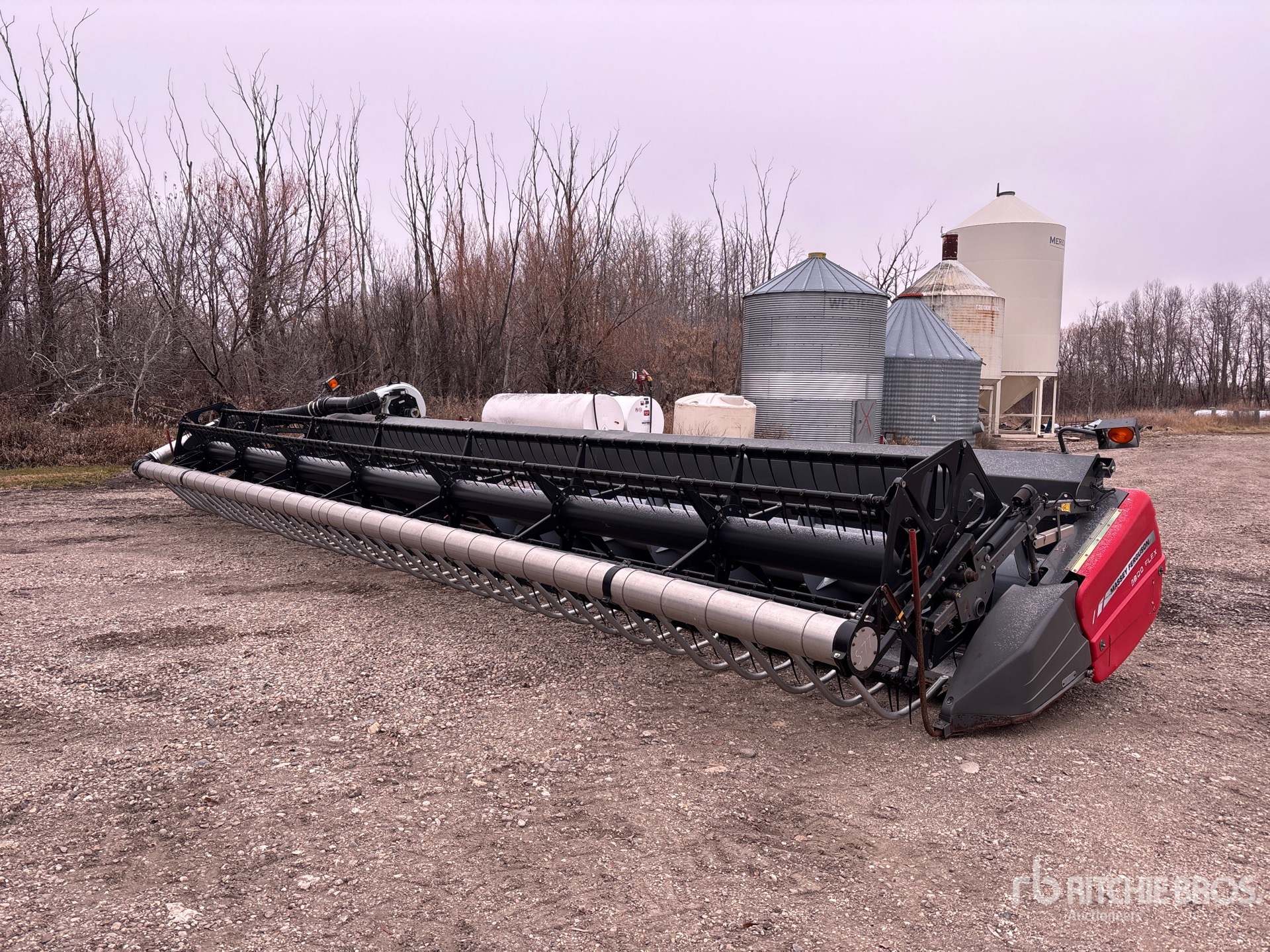 General Appearance with Bild, Ecke vorne links