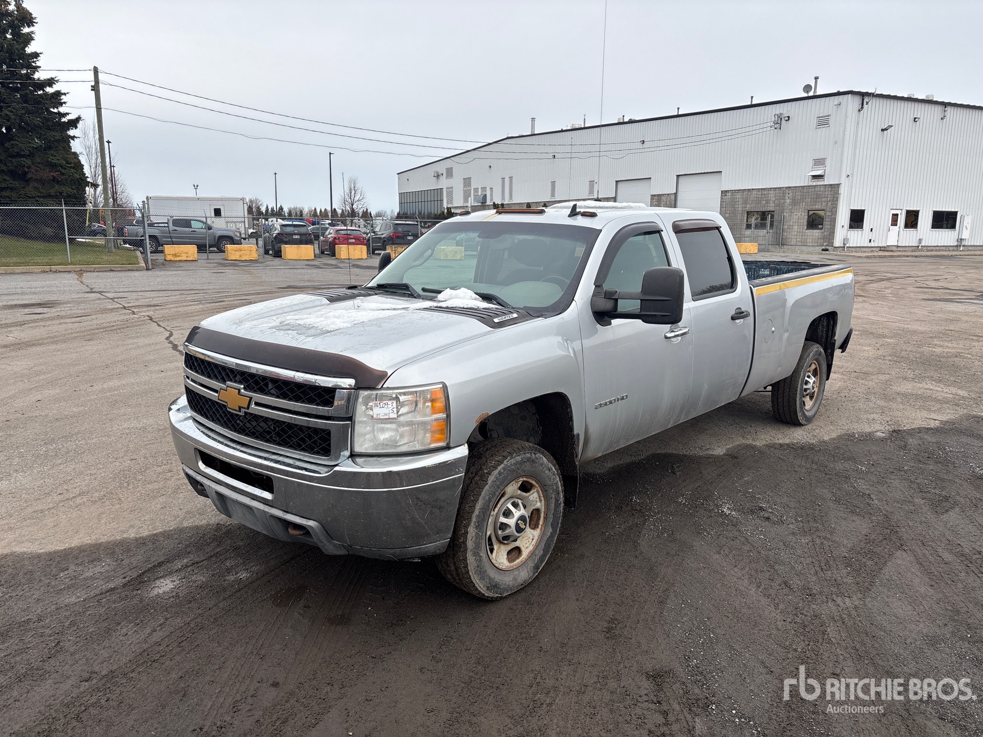 General Appearance with Spin