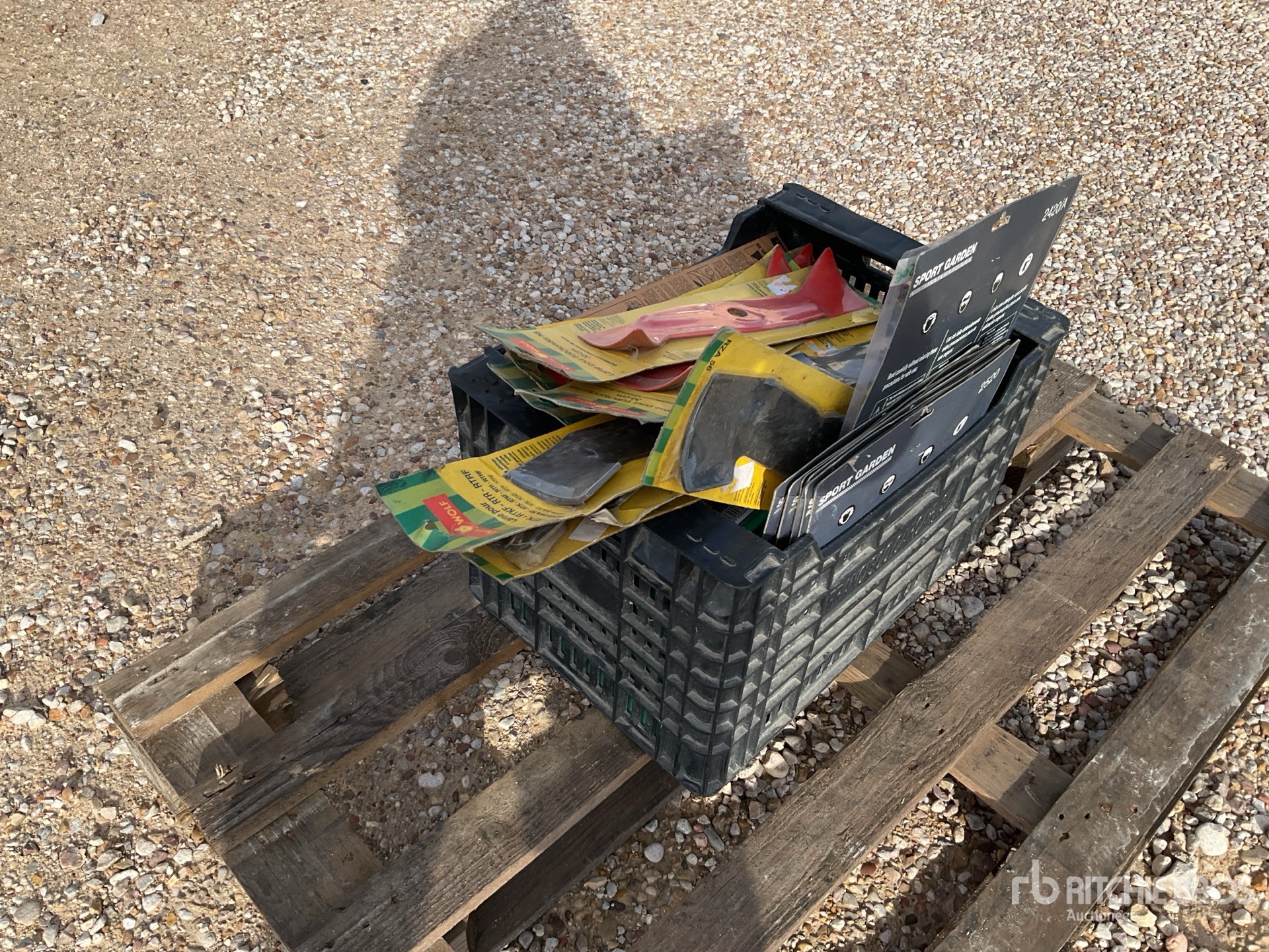 General Appearance with Imagen: esquina trasera derecha