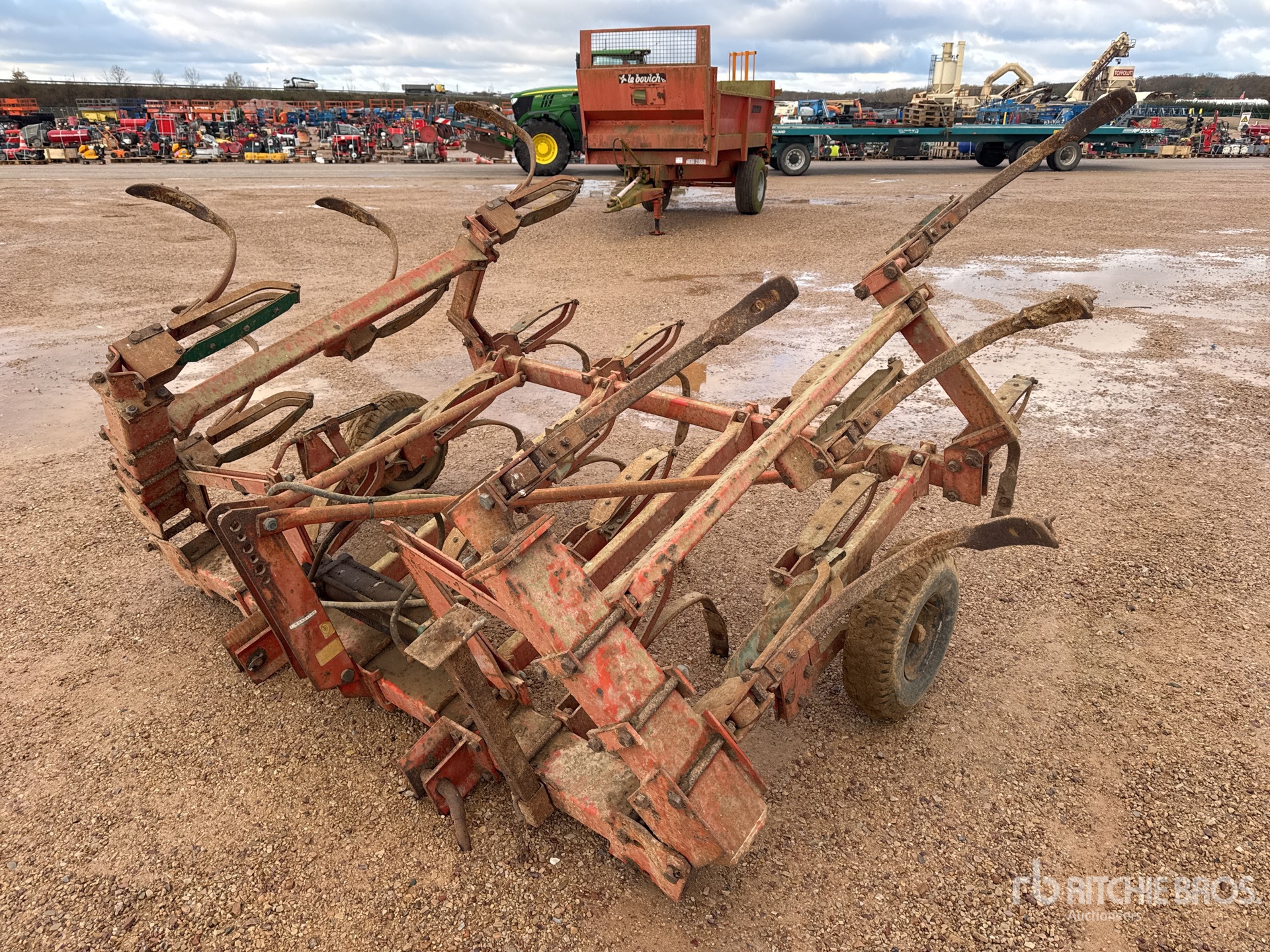 General Appearance with 