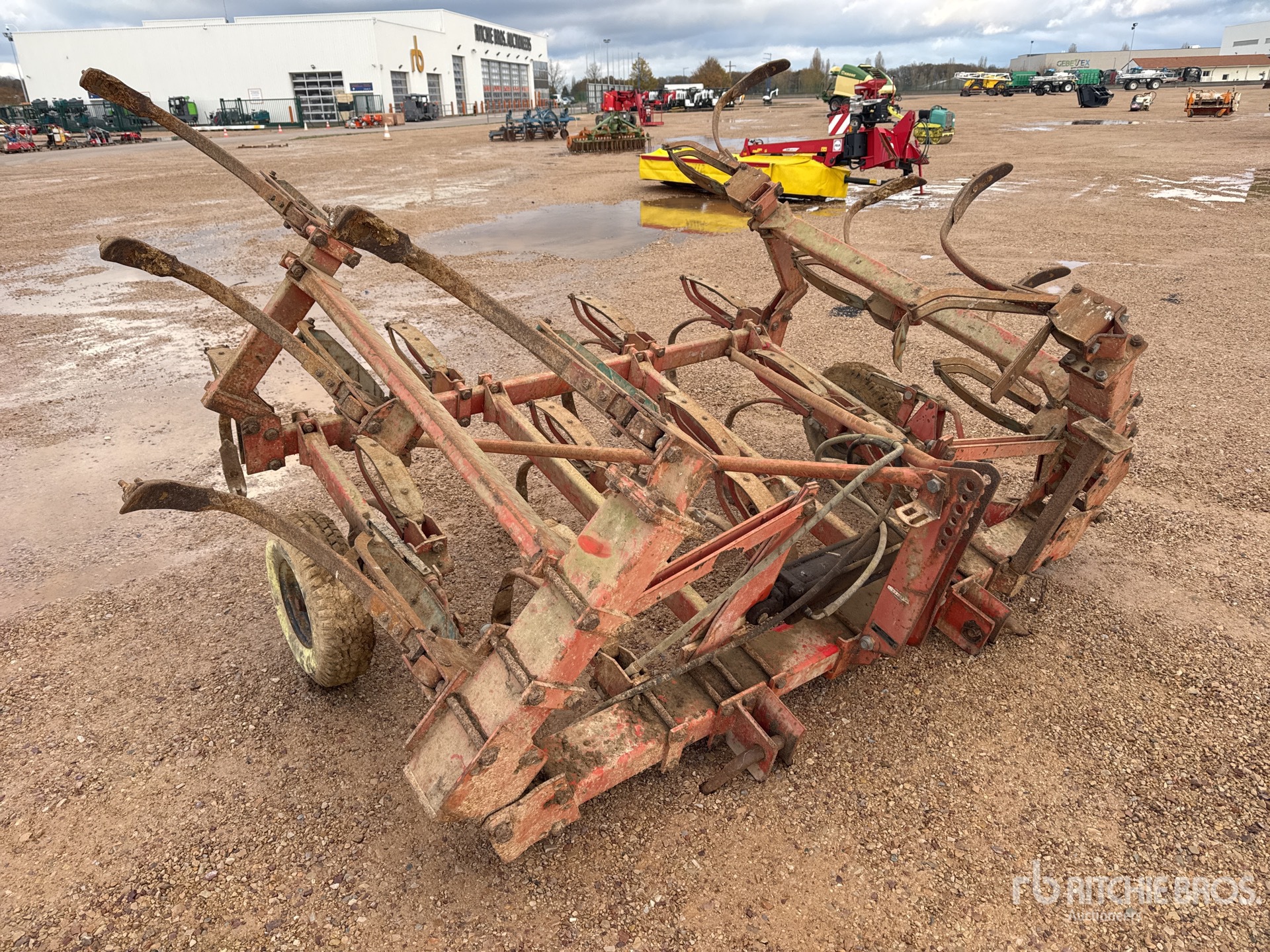 General Appearance with 