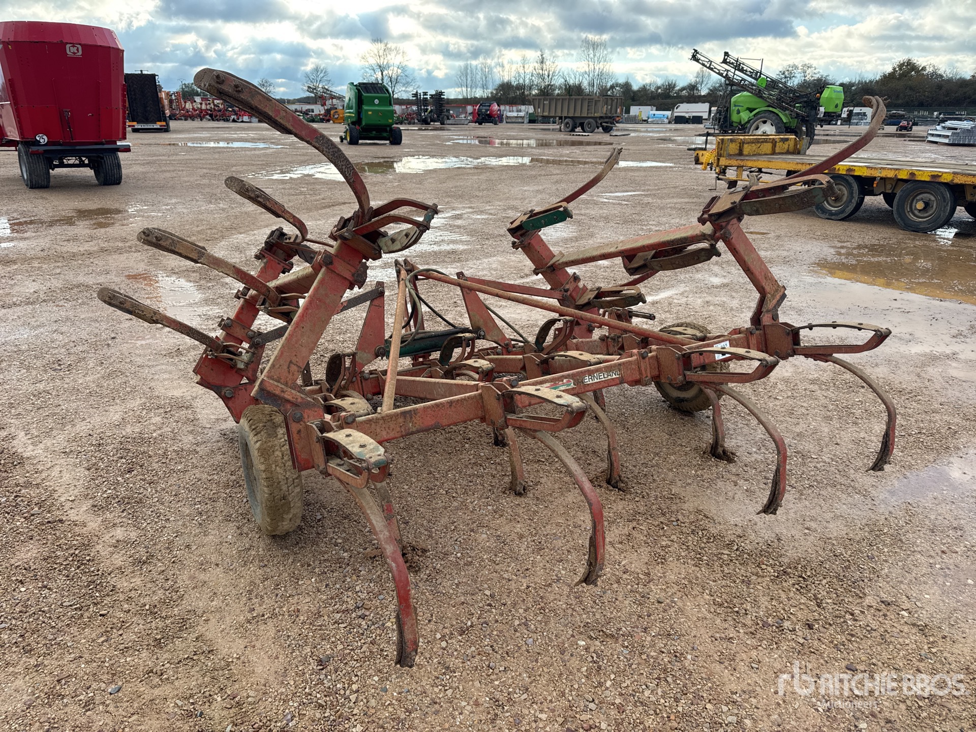 General Appearance with 