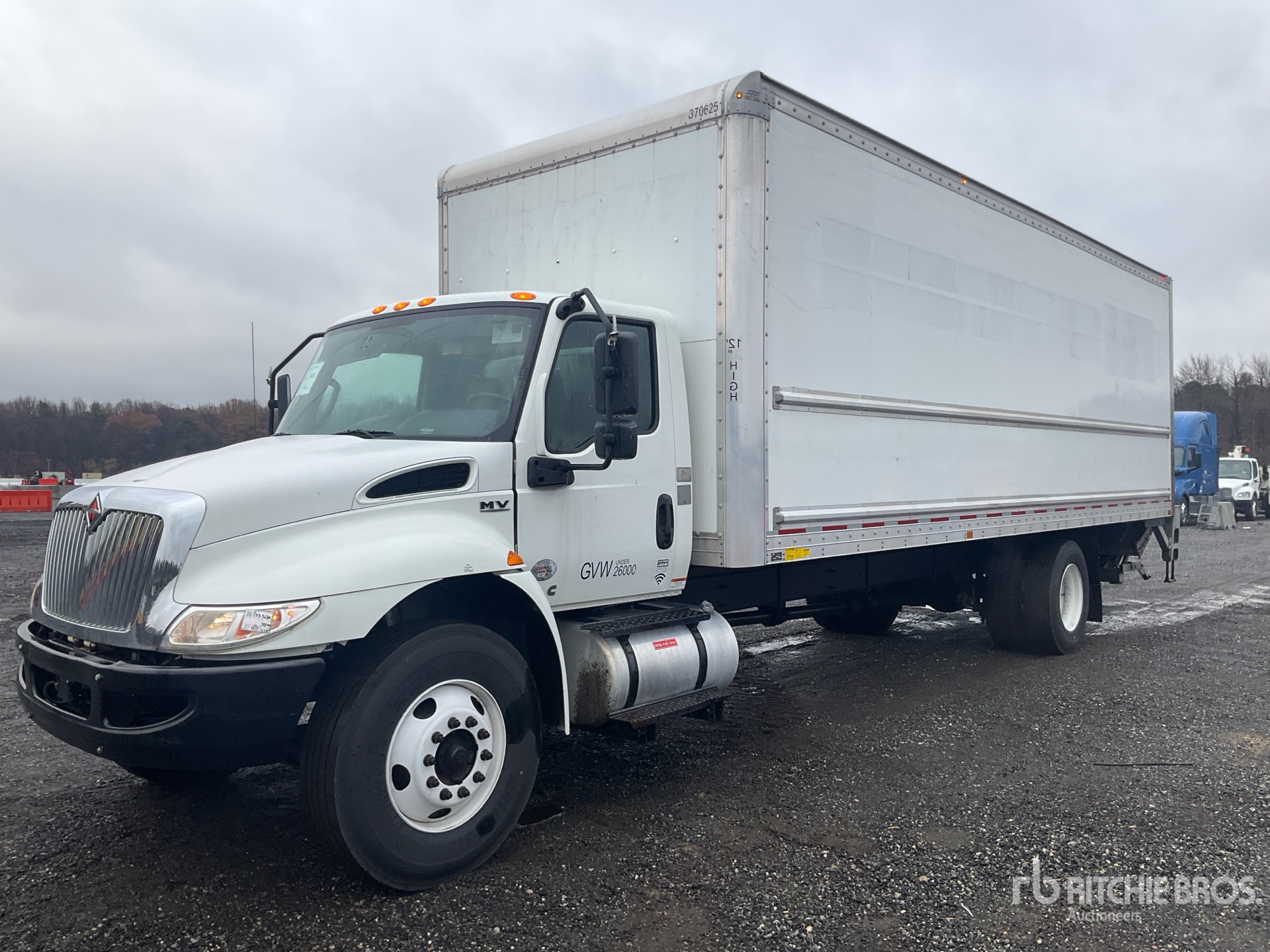 General Appearance with Spin