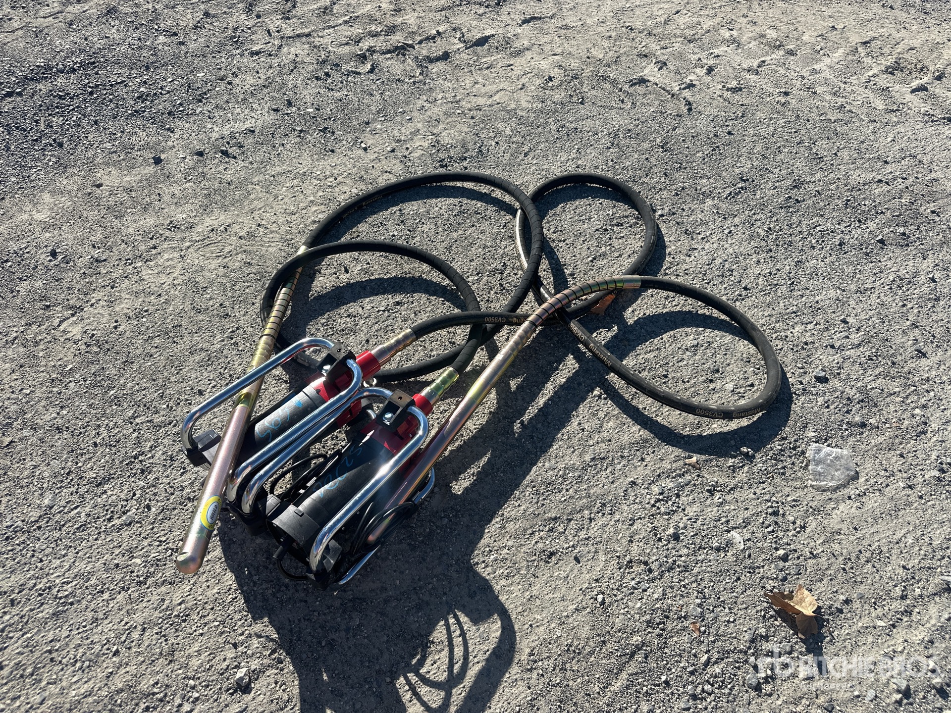 General Appearance with Bild, Ecke vorne links