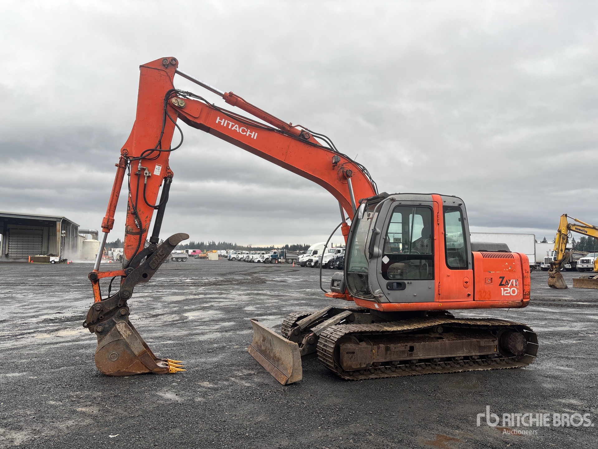 General Appearance with Spin