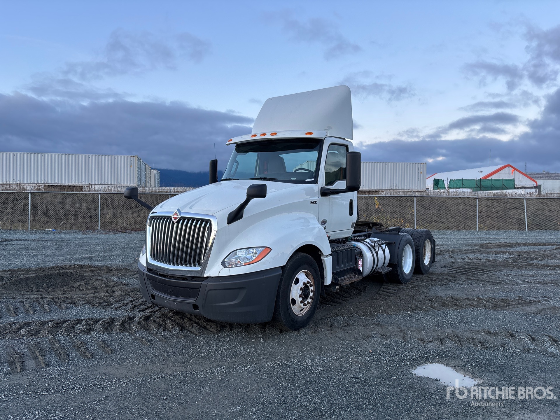 General Appearance with Spin