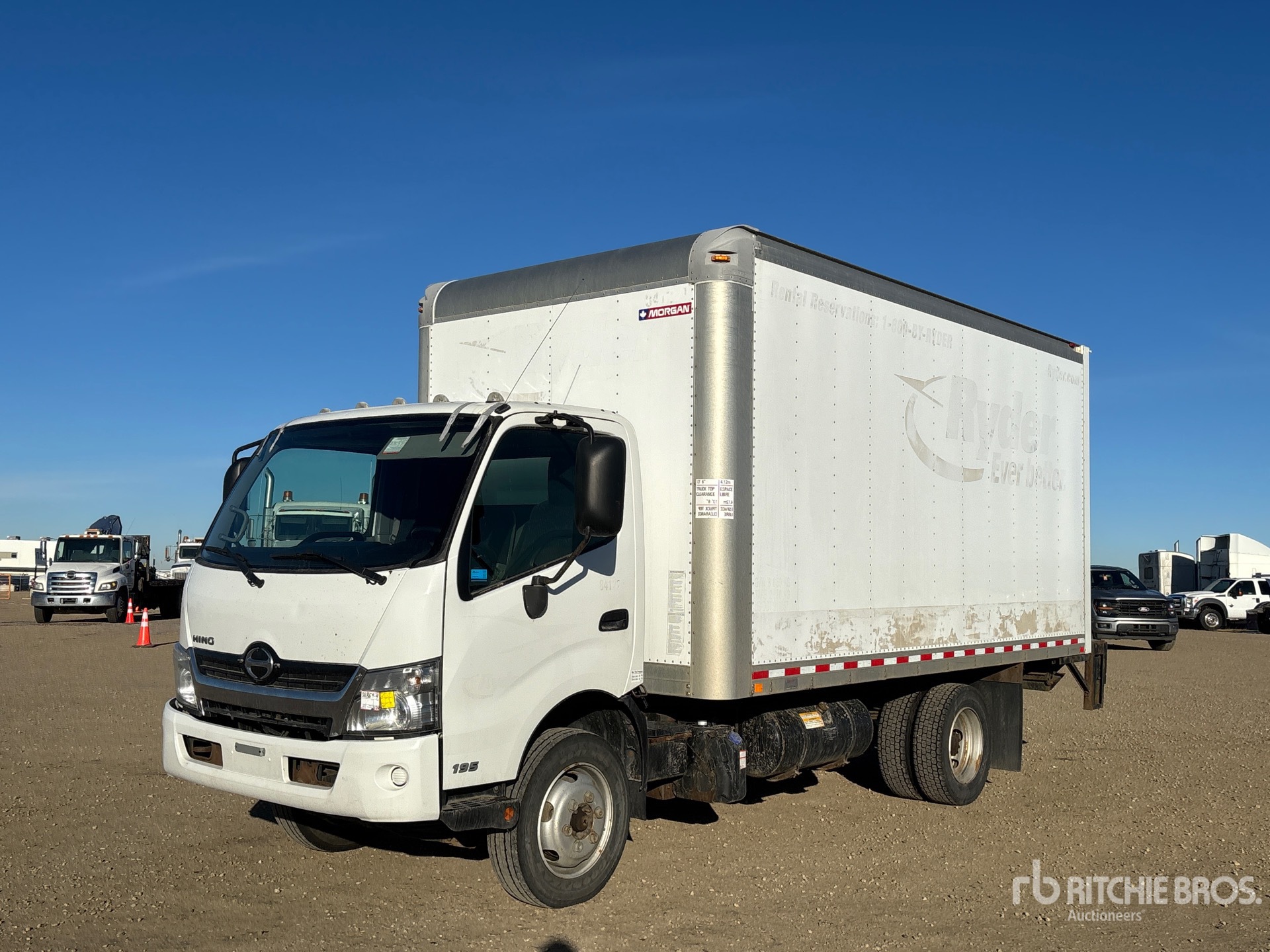 General Appearance with Spin