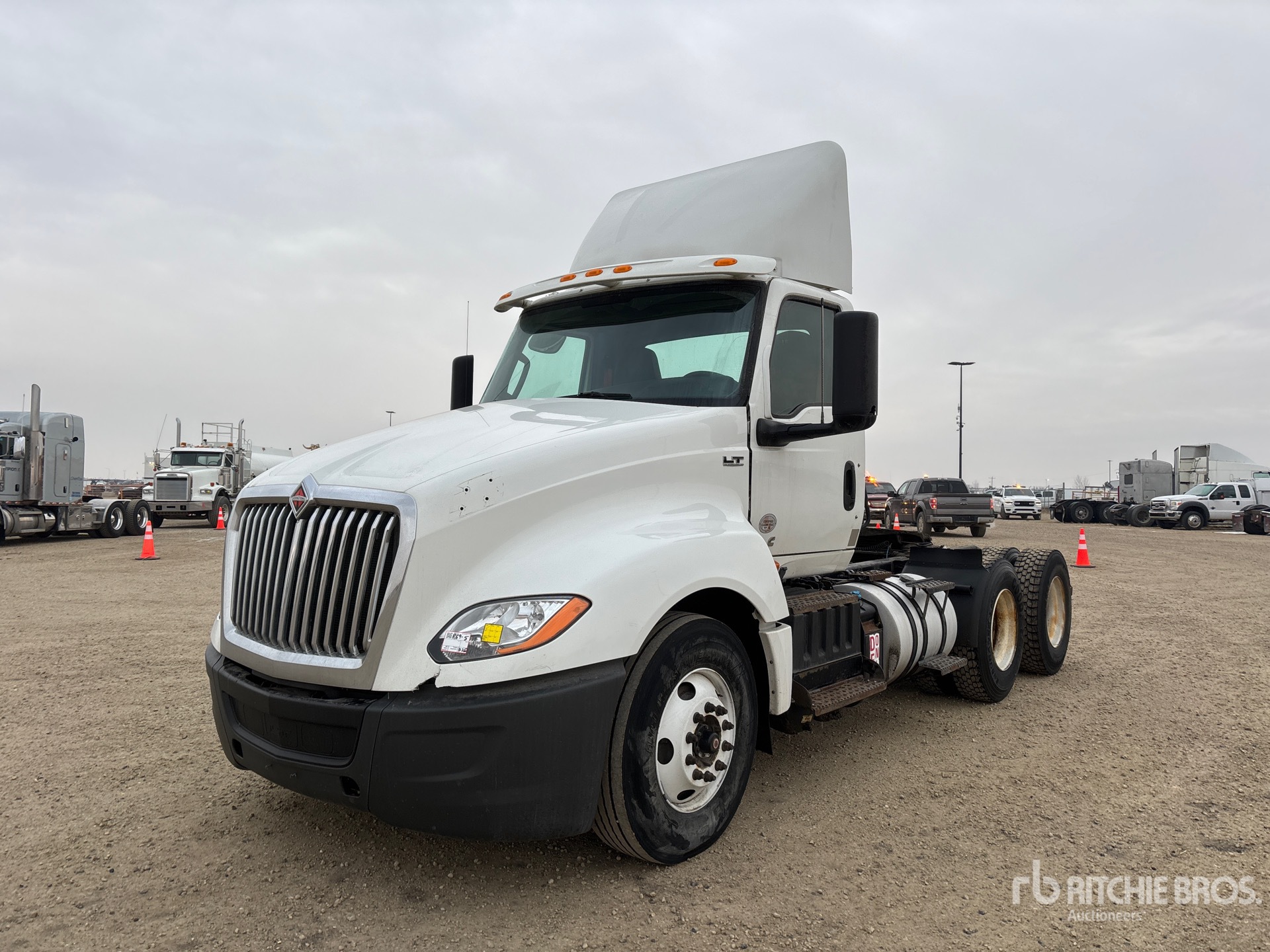 General Appearance with Spin