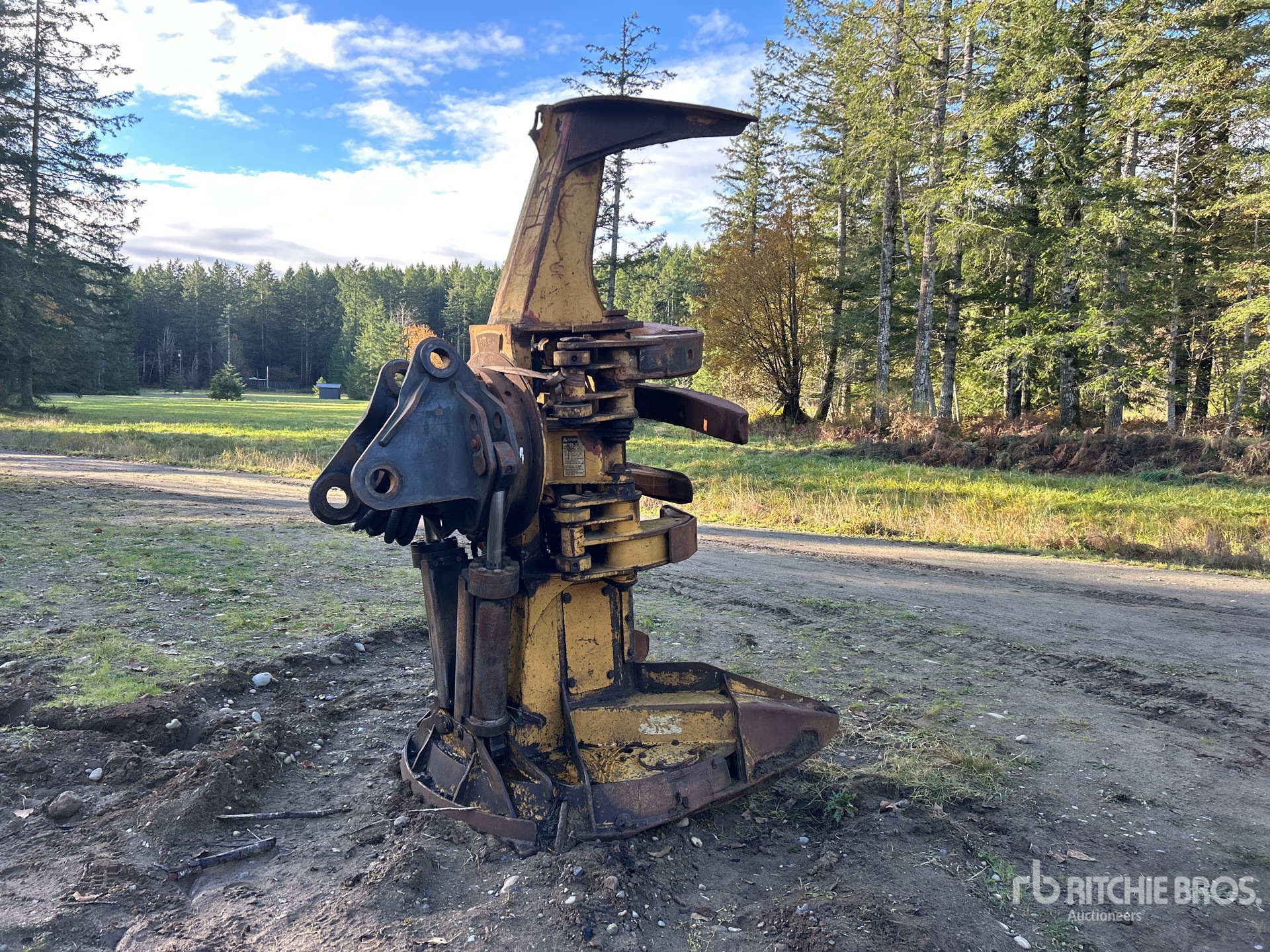 General Appearance with Imagen: esquina trasera derecha