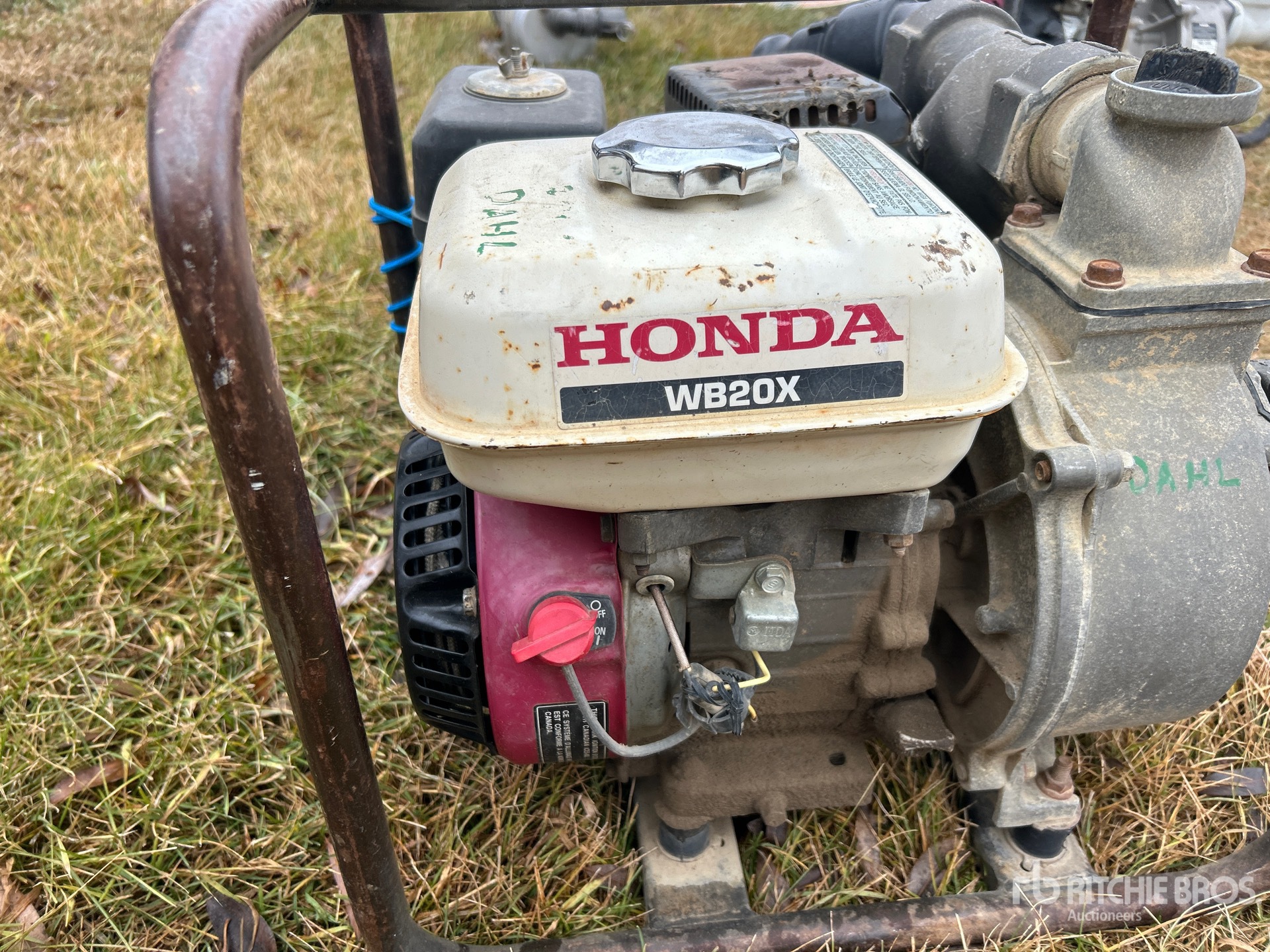 General Appearance with 