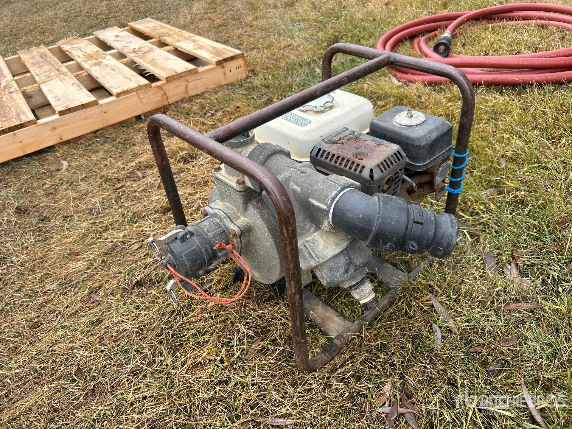 General Appearance with 