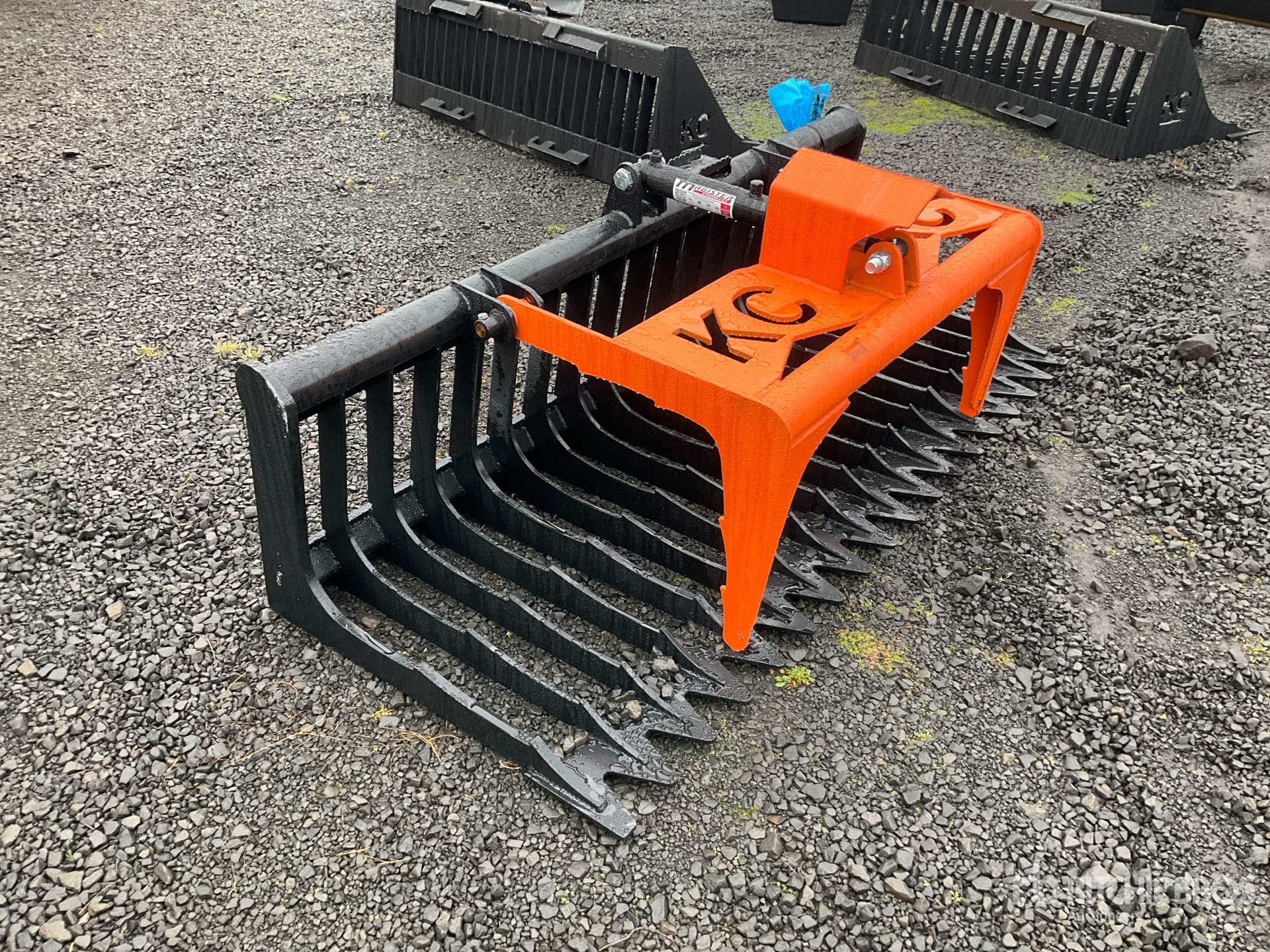 General Appearance with 