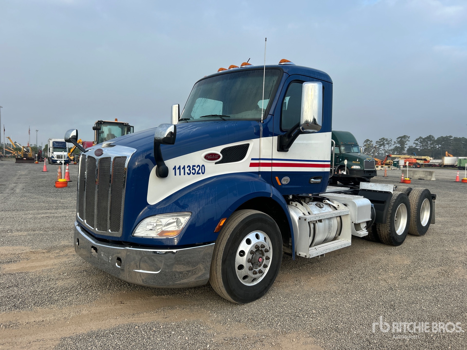 General Appearance with Spin