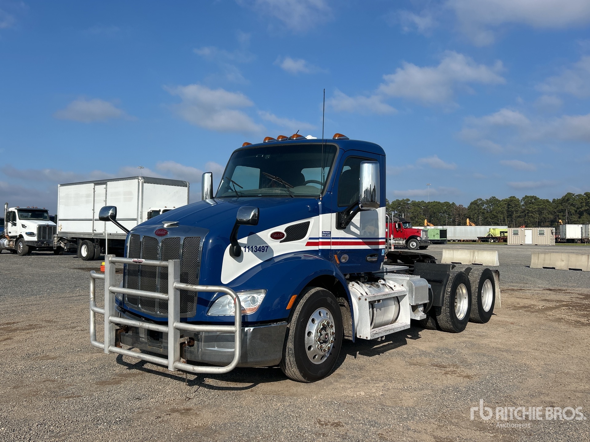 General Appearance with Spin