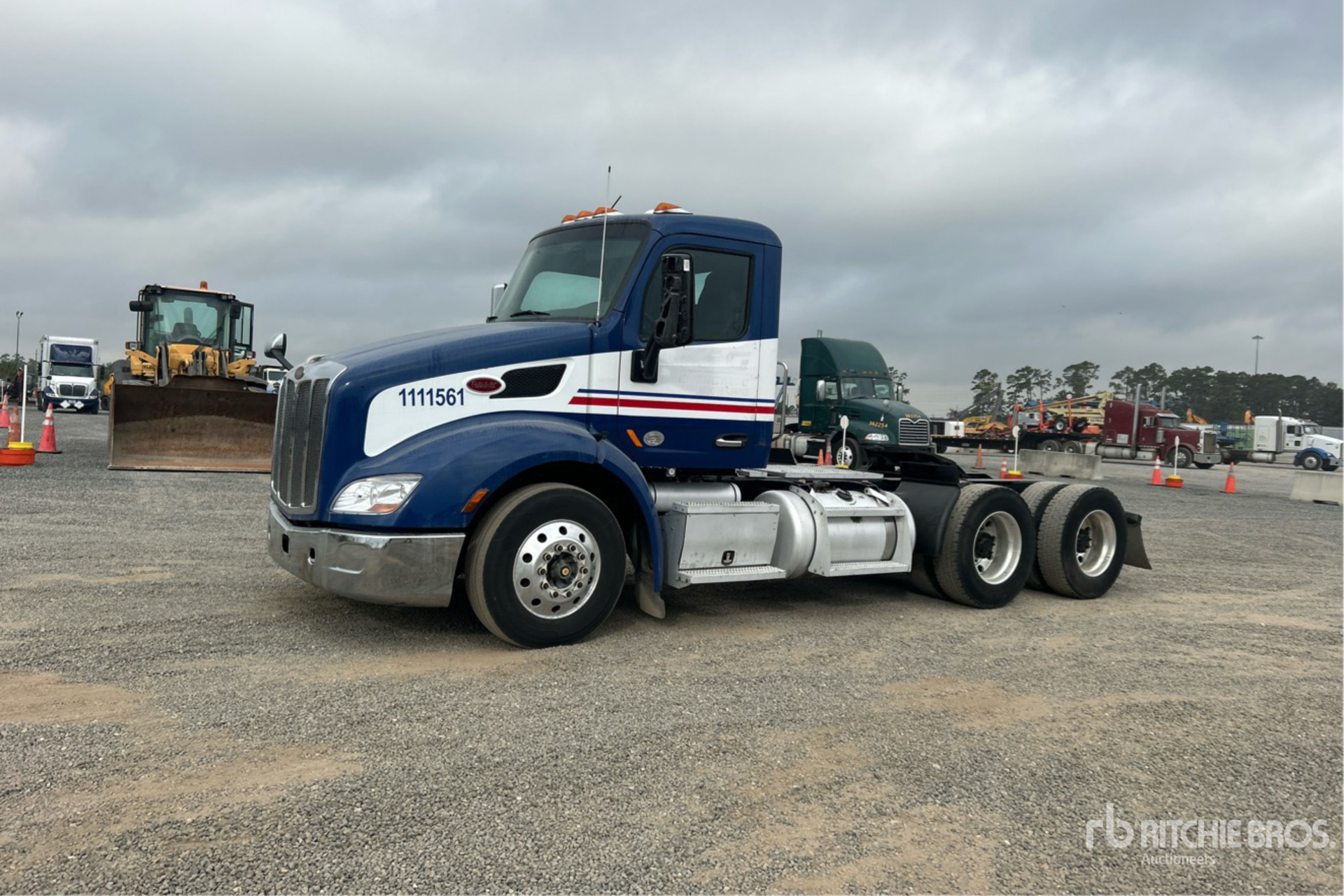 General Appearance with Spin