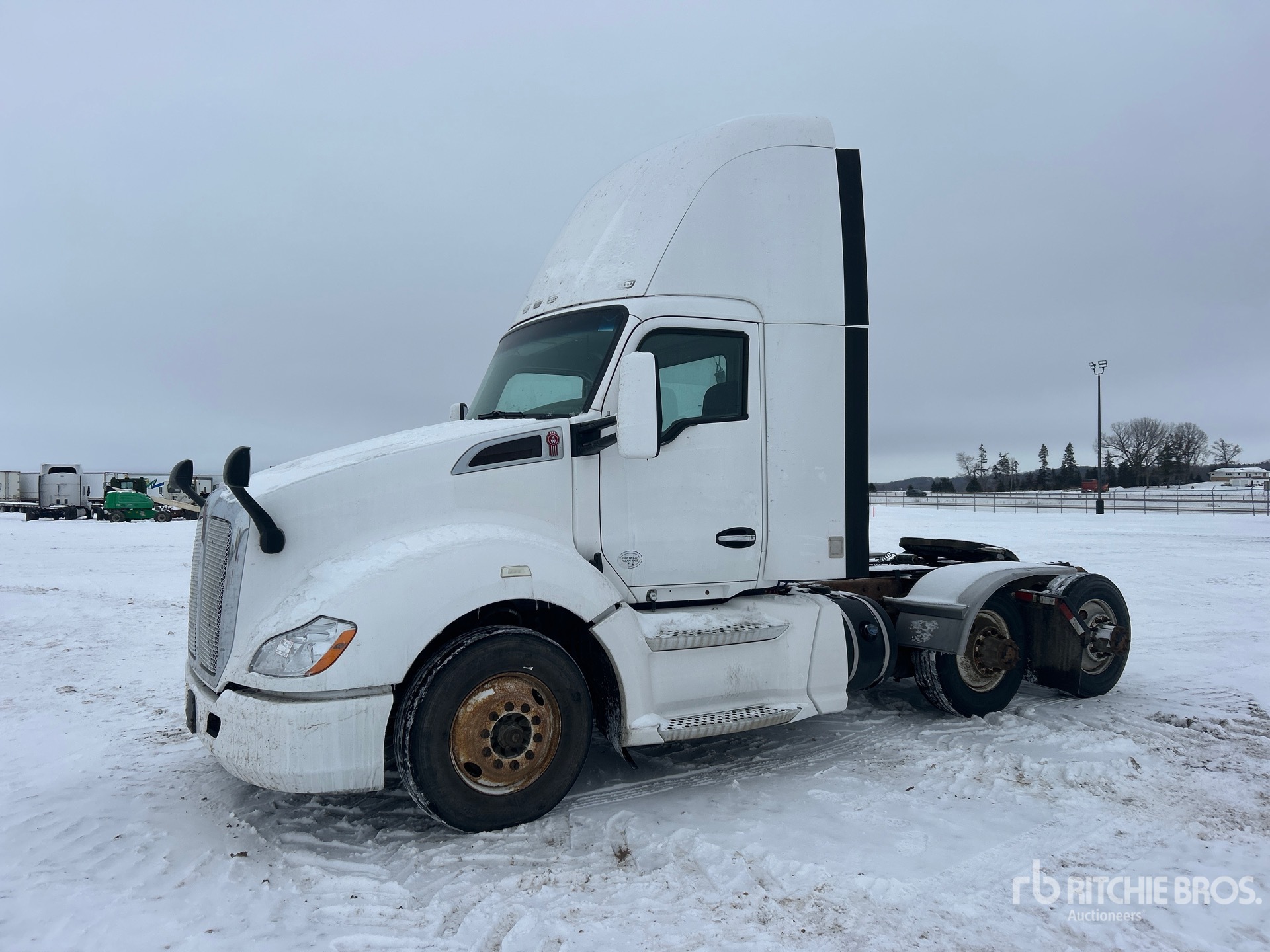 General Appearance with Spin