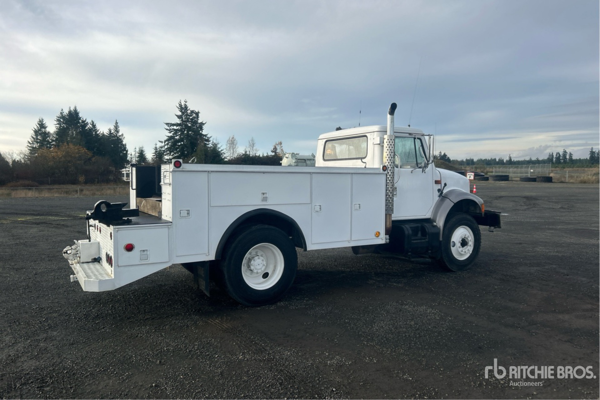 General Appearance with Zdjęcie, prawy dolny róg