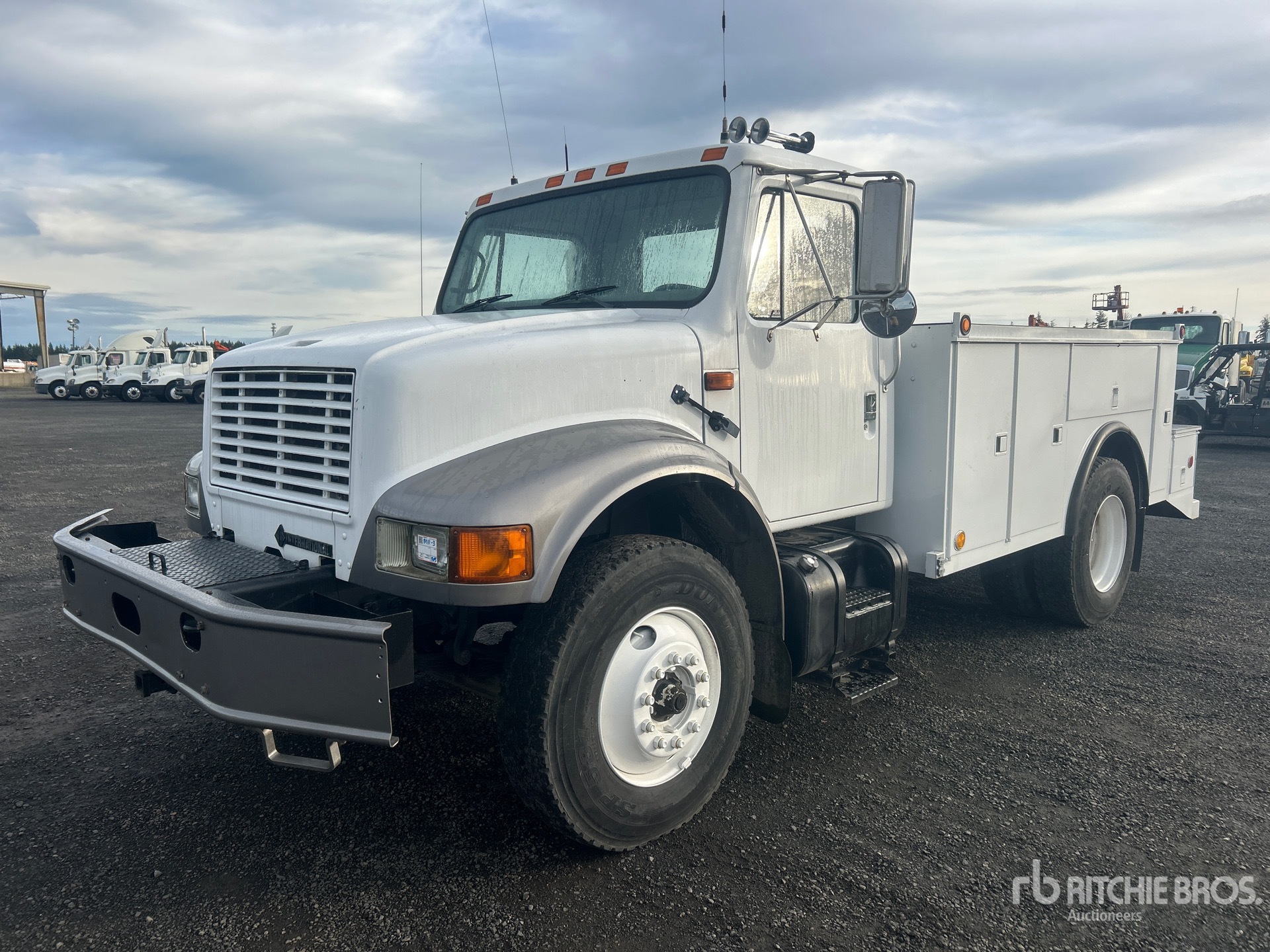 General Appearance with Spin