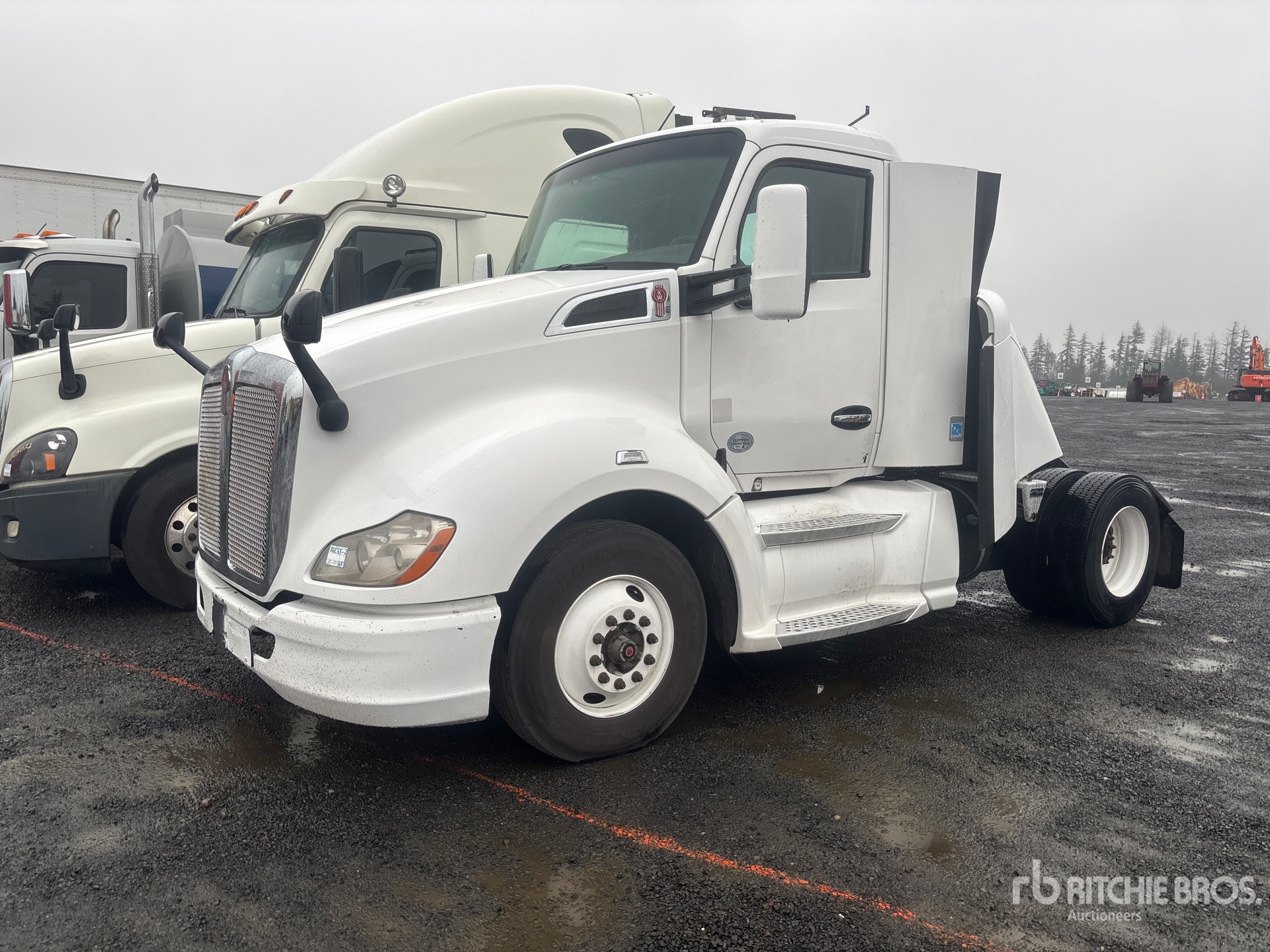 General Appearance with Spin