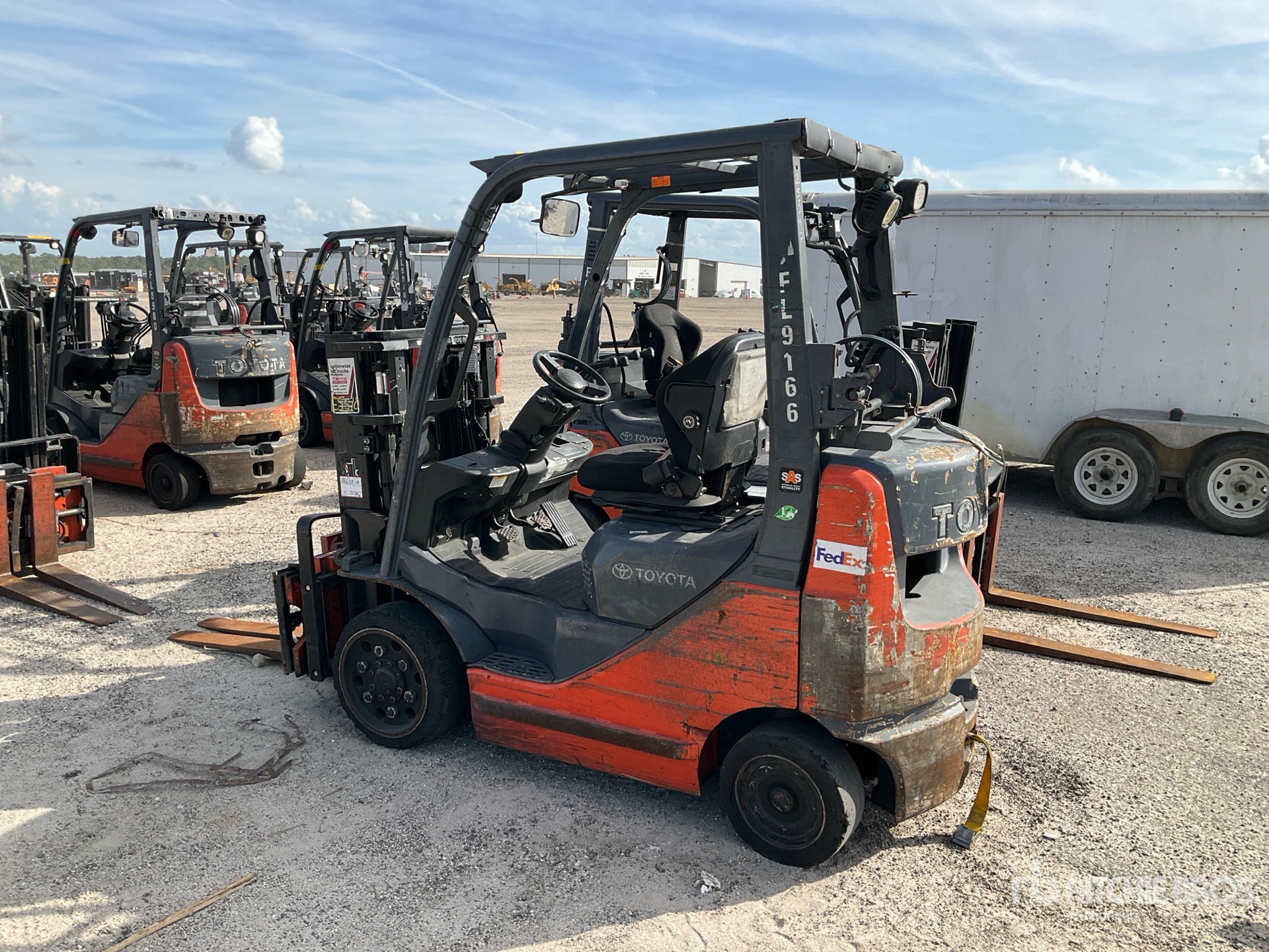 General Appearance with Zdjęcie, lewy dolny róg